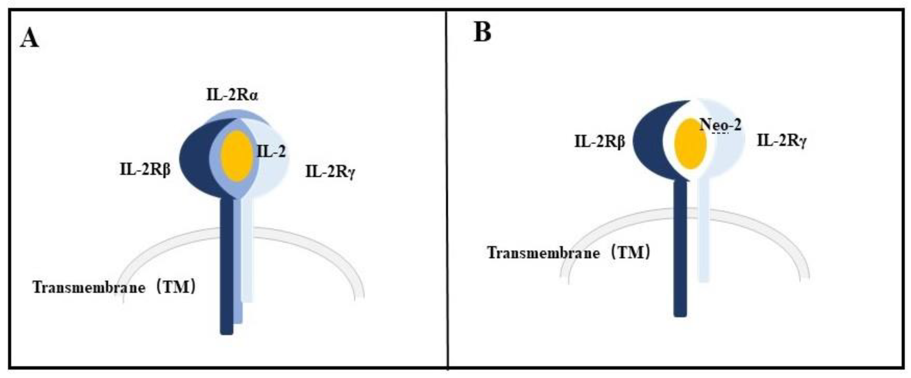 Biology 12 00166 g002