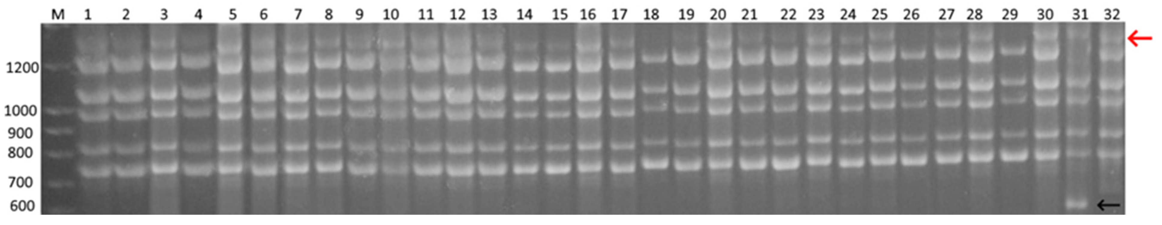 Biology 12 00168 g004