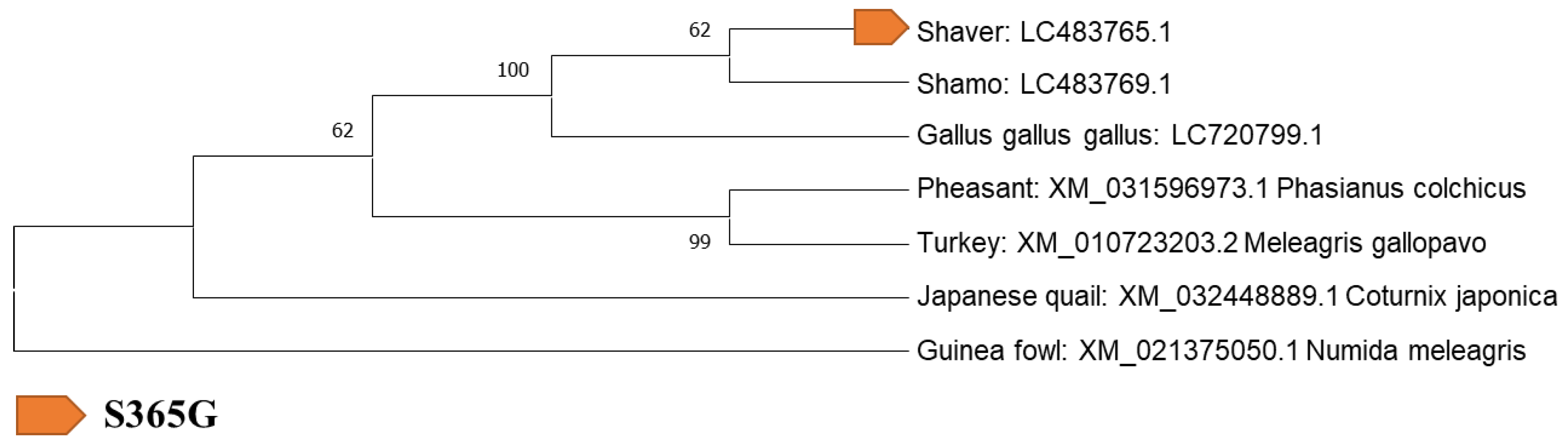 Biology 12 00169 g002 Biology 12 00169 g002