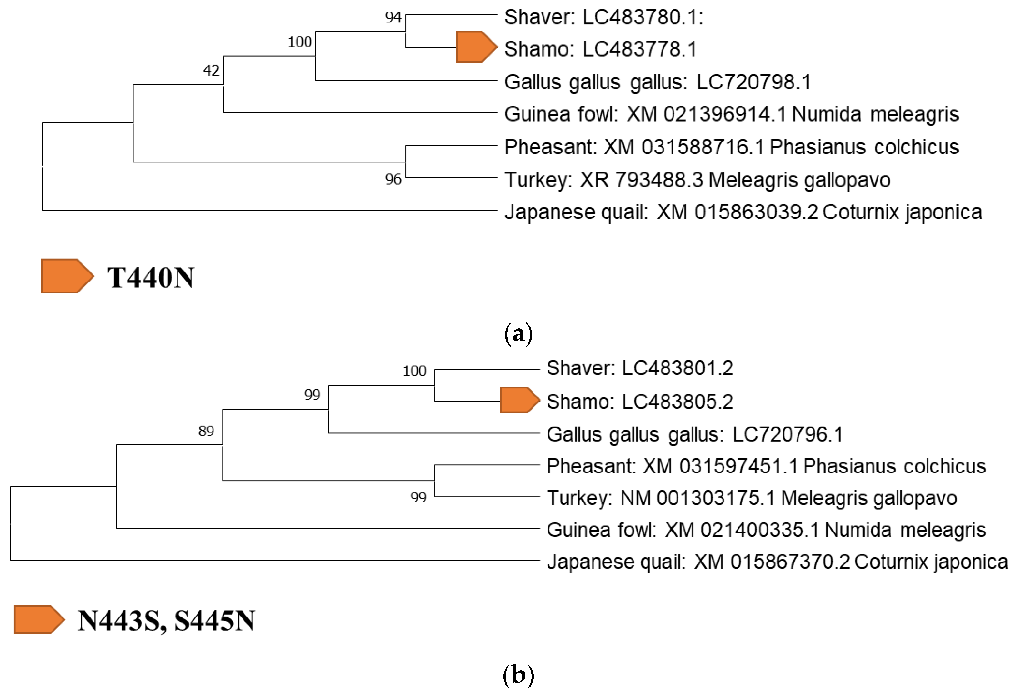 Biology 12 00169 g003 Biology 12 00169 g003