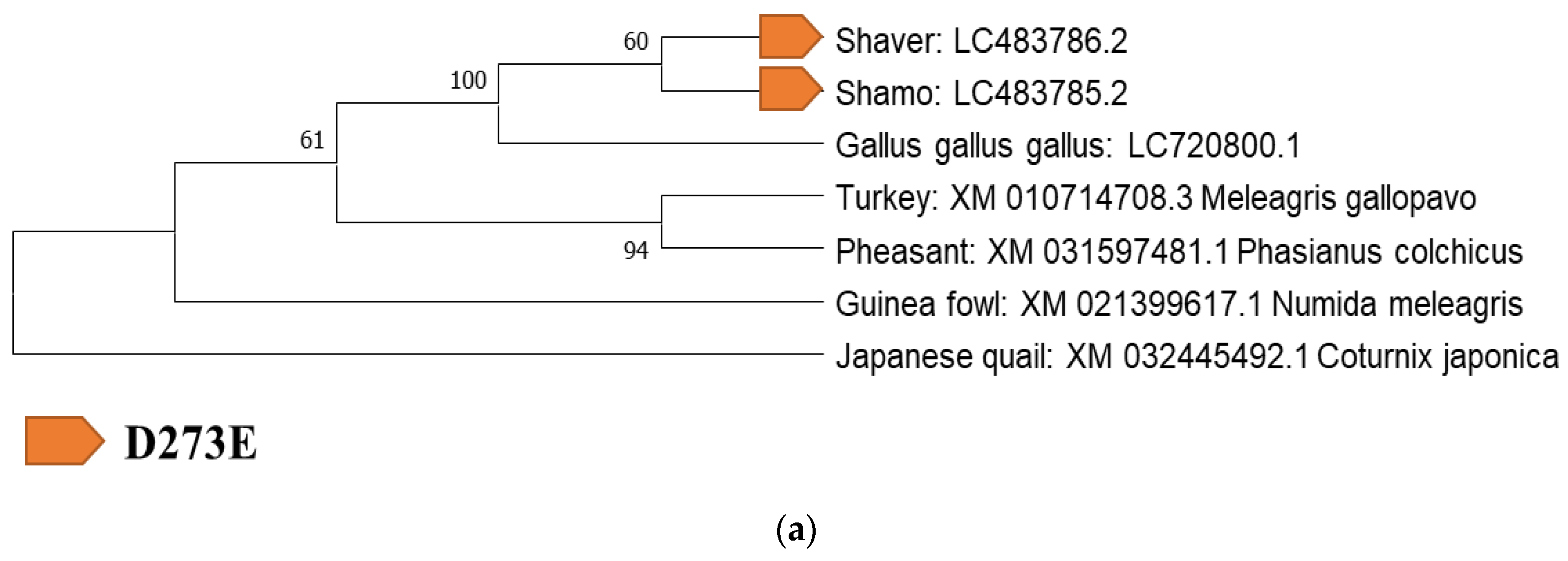 Biology 12 00169 g004a Biology 12 00169 g004a