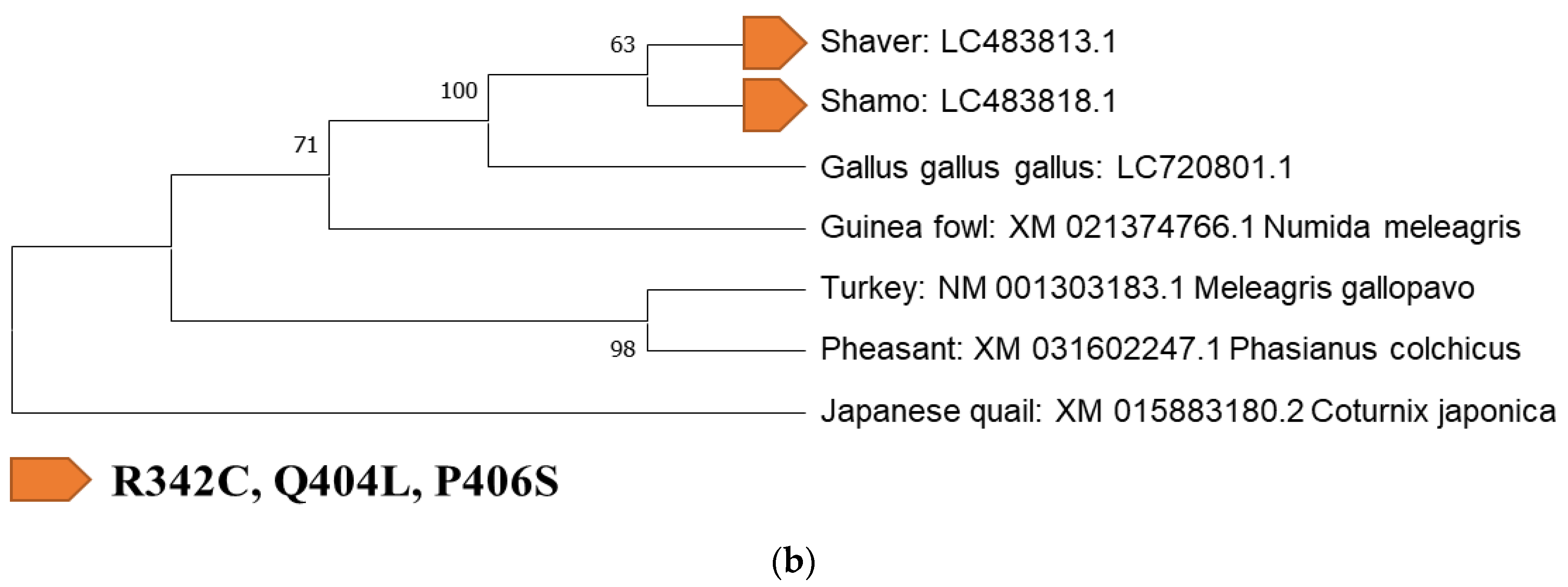 Biology 12 00169 g004b Biology 12 00169 g004b