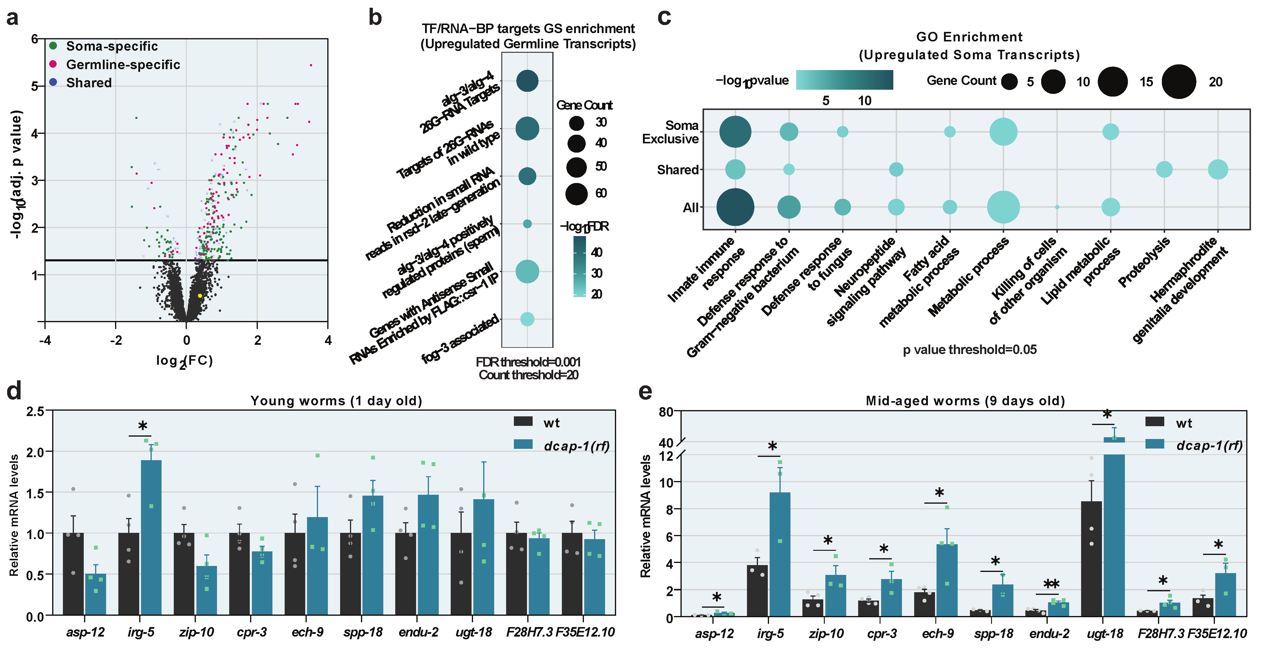 Biology 12 00171 g001 Biology 12 00171 g001