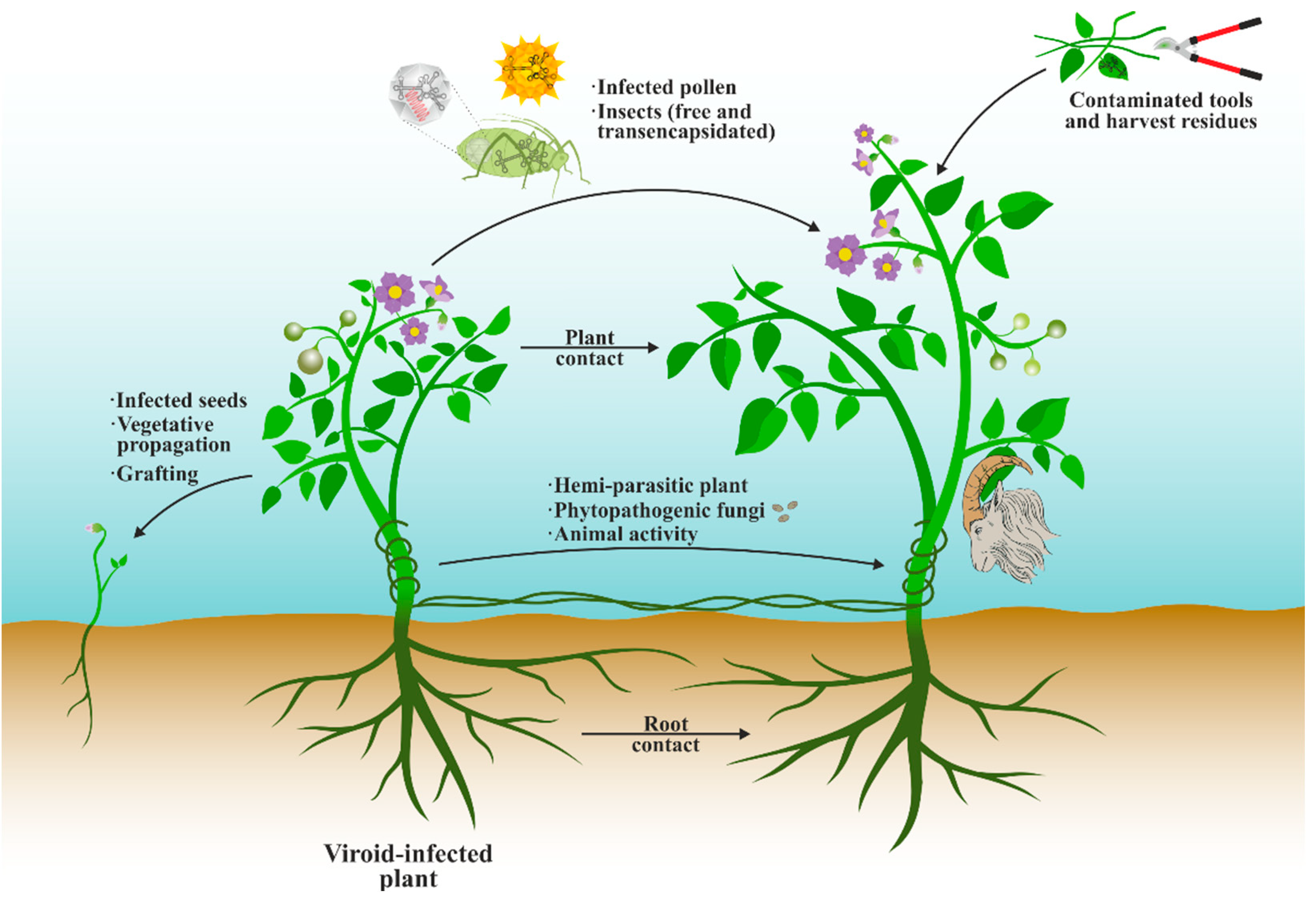 Biology 12 00172 g005 Biology 12 00172 g005