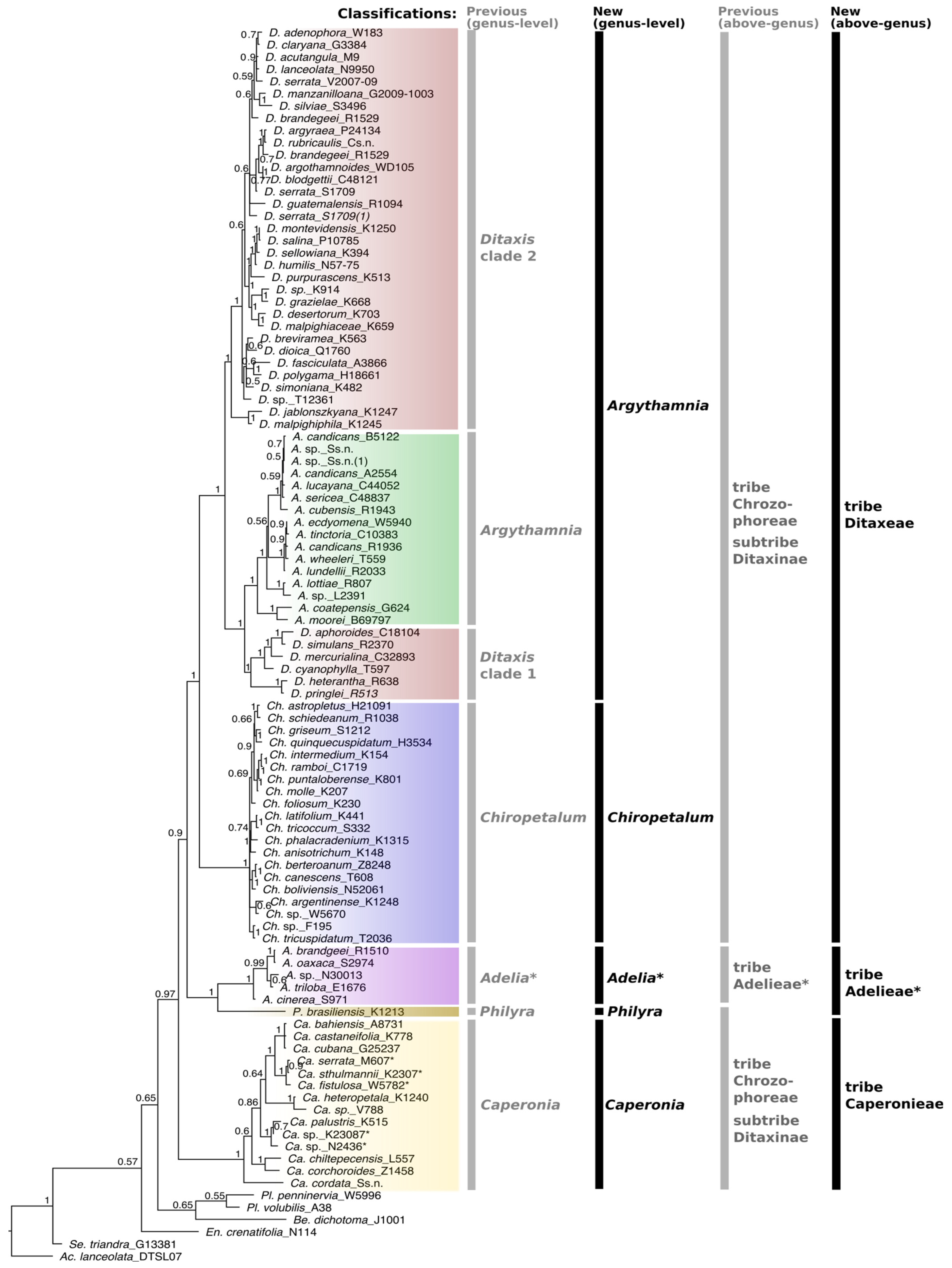 Biology 12 00173 g001
