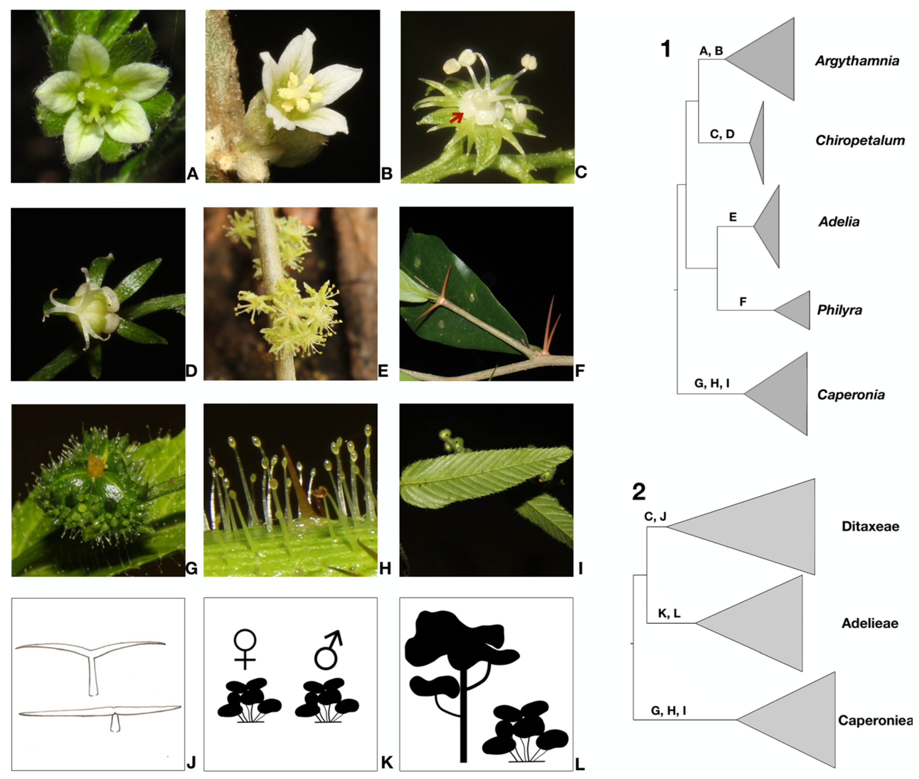 Biology 12 00173 g002