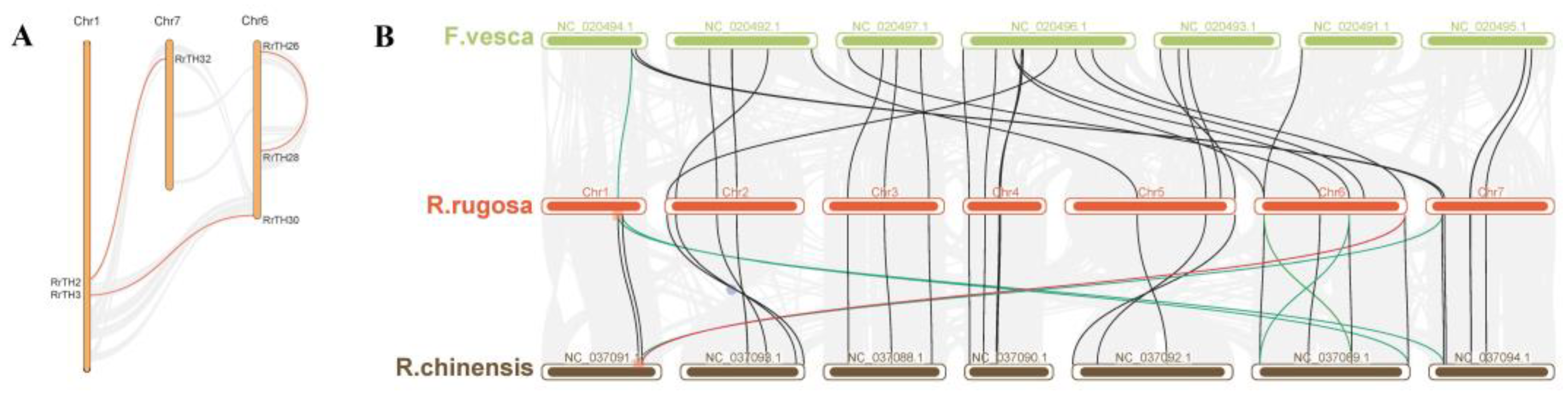 Biology 12 00176 g002 Biology 12 00176 g002