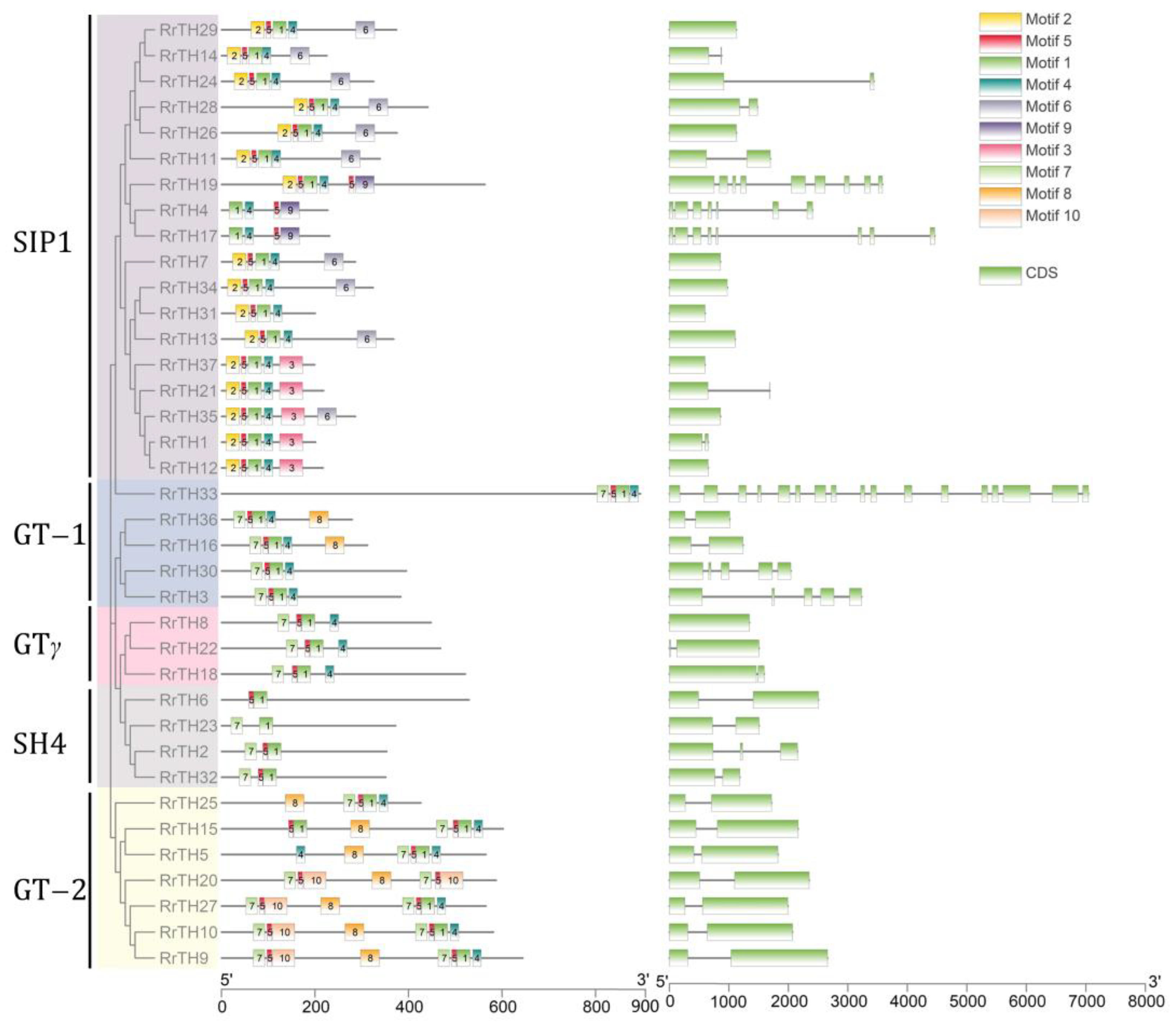 Biology 12 00176 g003 Biology 12 00176 g003