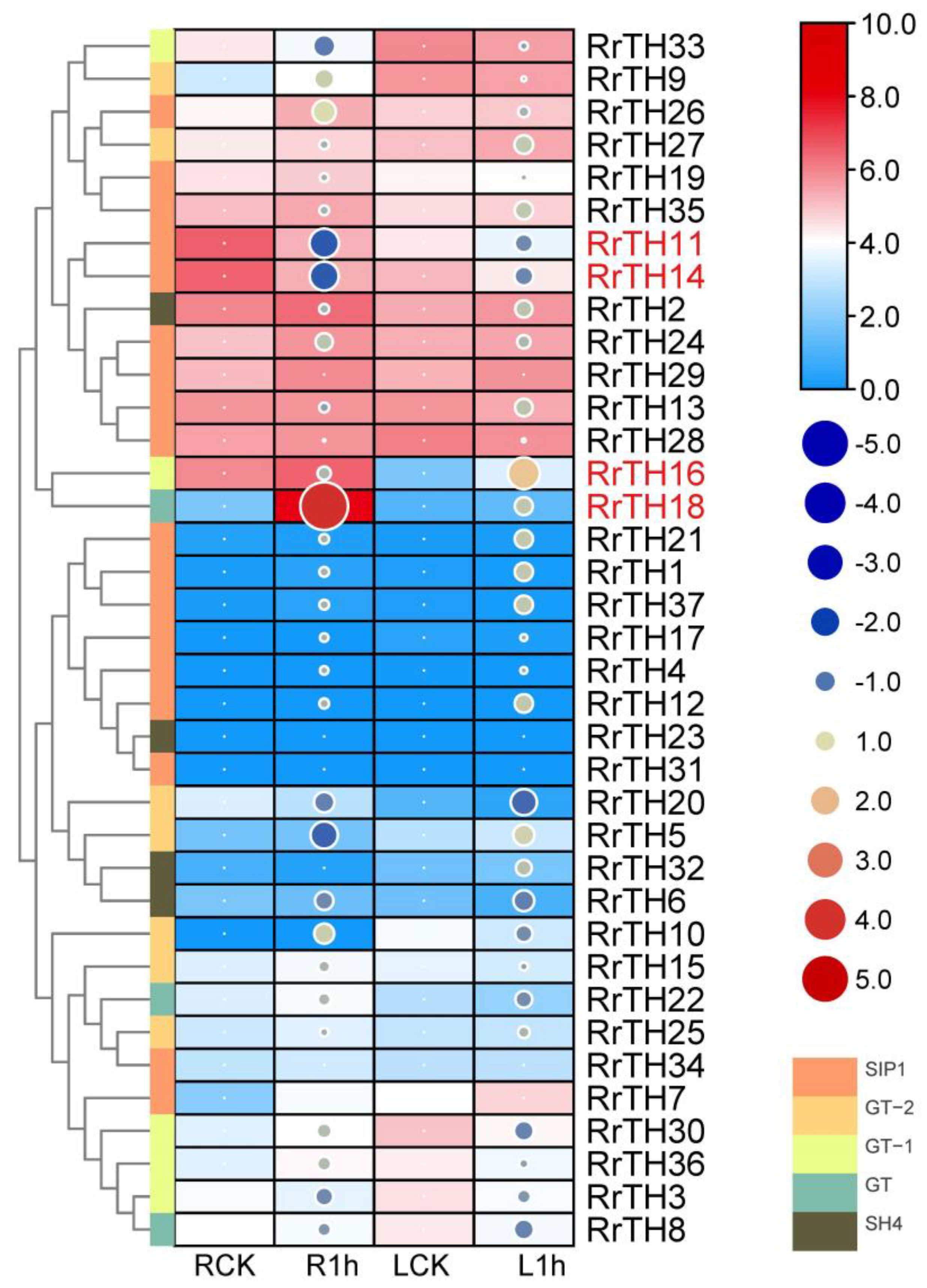 Biology 12 00176 g004 Biology 12 00176 g004