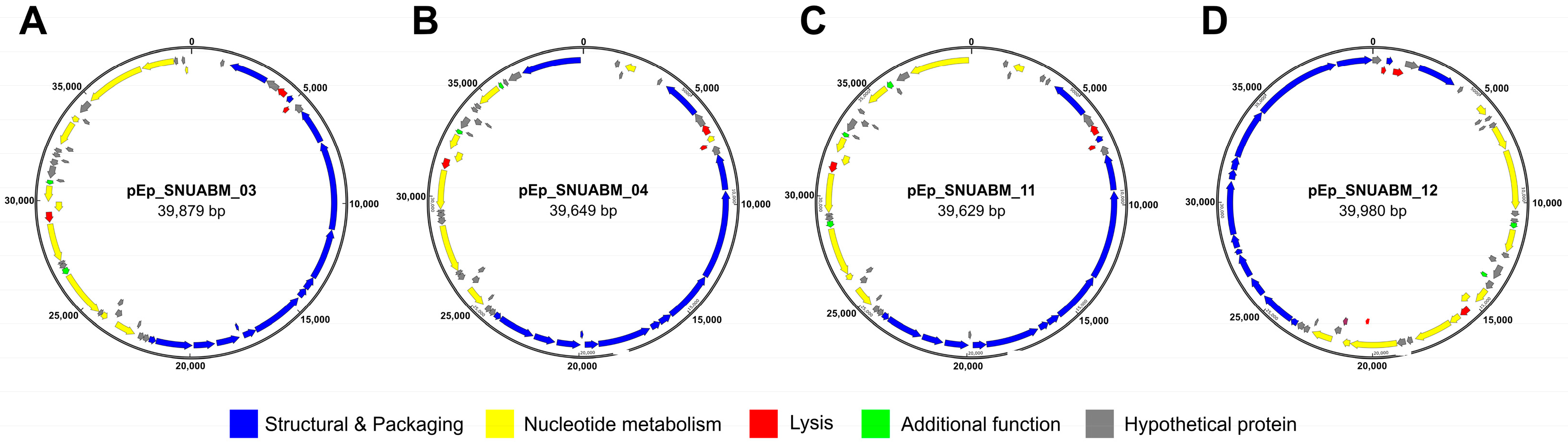 Biology 12 00180 g004 Biology 12 00180 g004