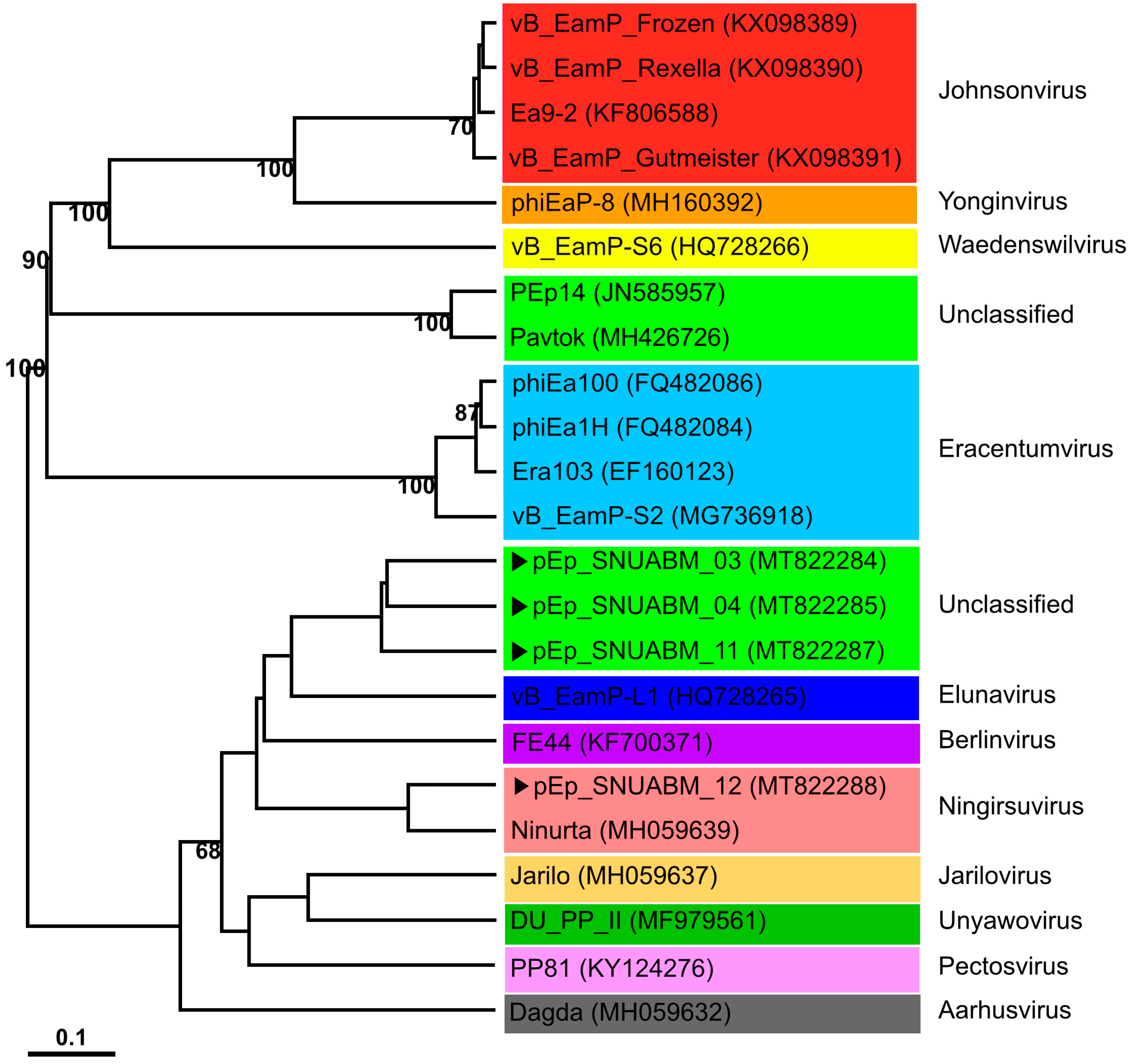 Biology 12 00180 g005 Biology 12 00180 g005
