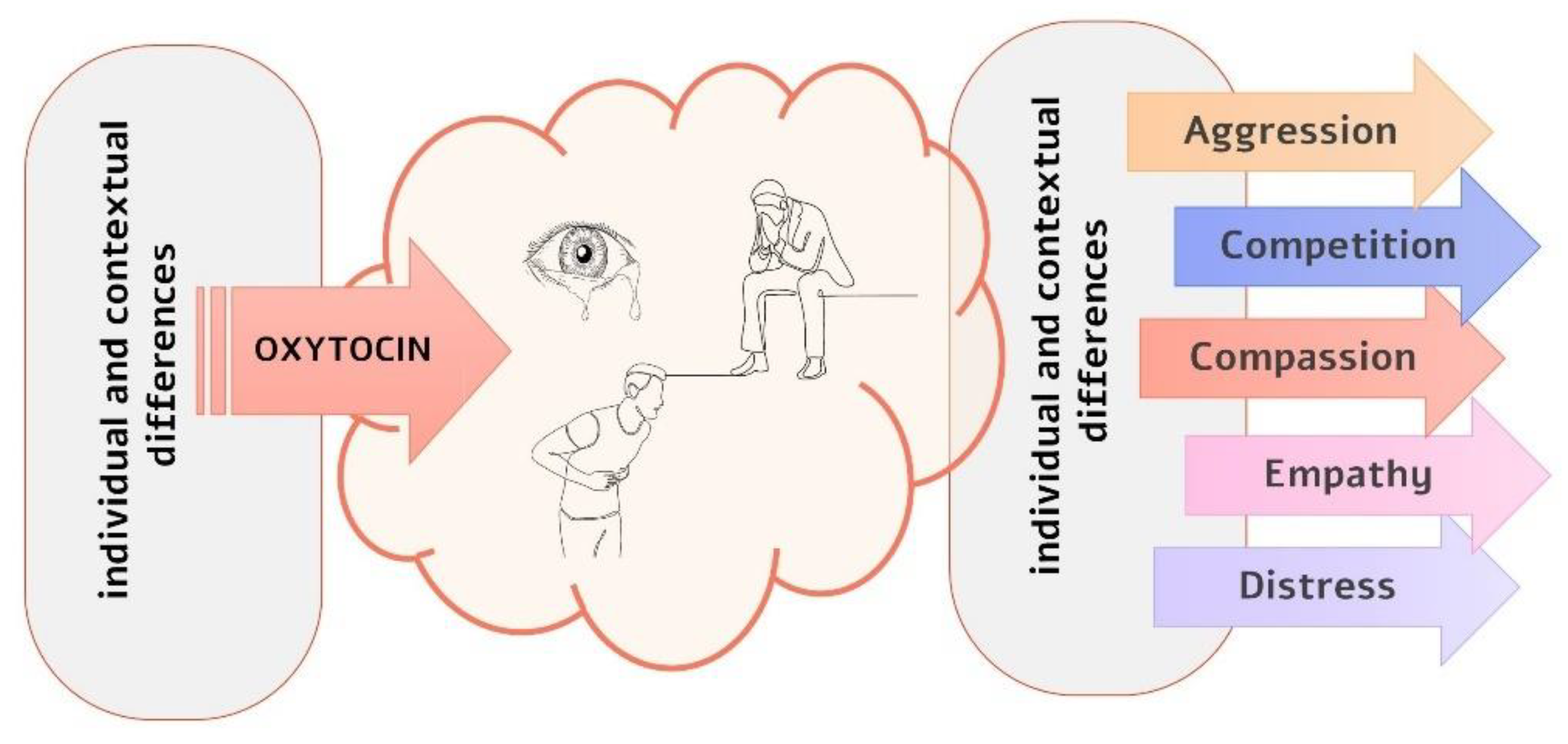 Biology | Free Full-Text | From Oxytocin to Compassion: The Saliency of  Distress
