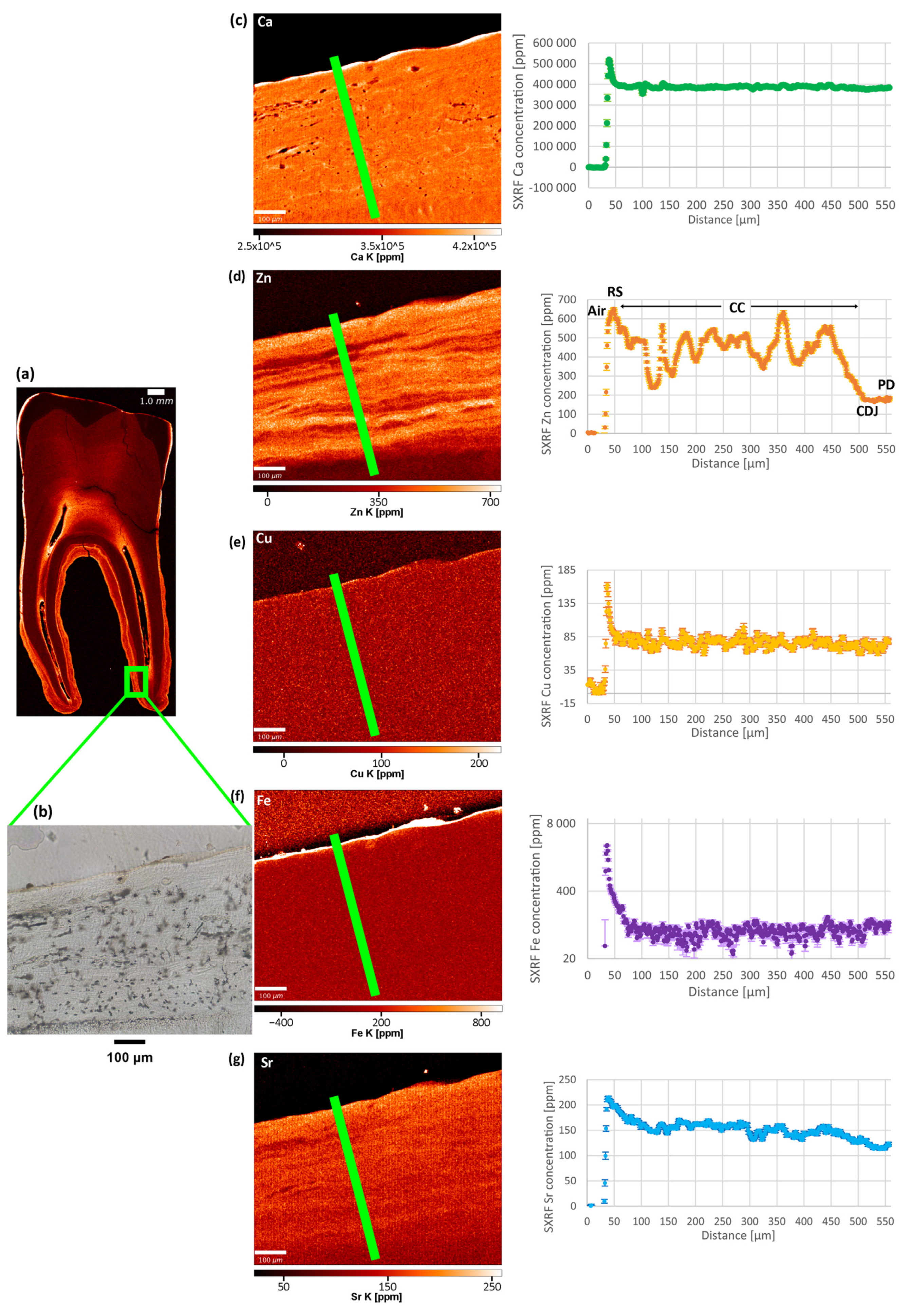 Biology 12 00184 g003 Biology 12 00184 g003