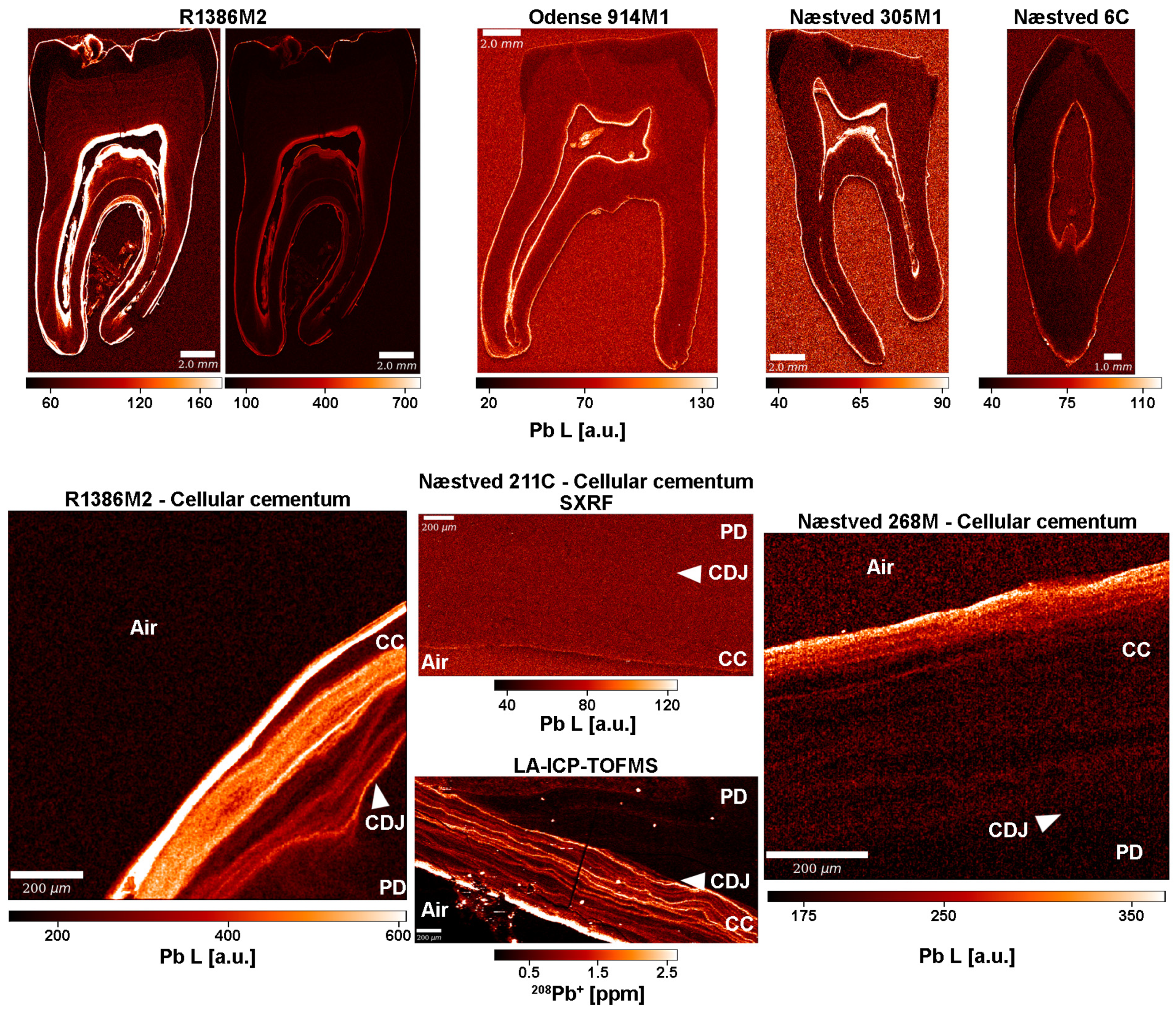 Biology 12 00184 g005 Biology 12 00184 g005