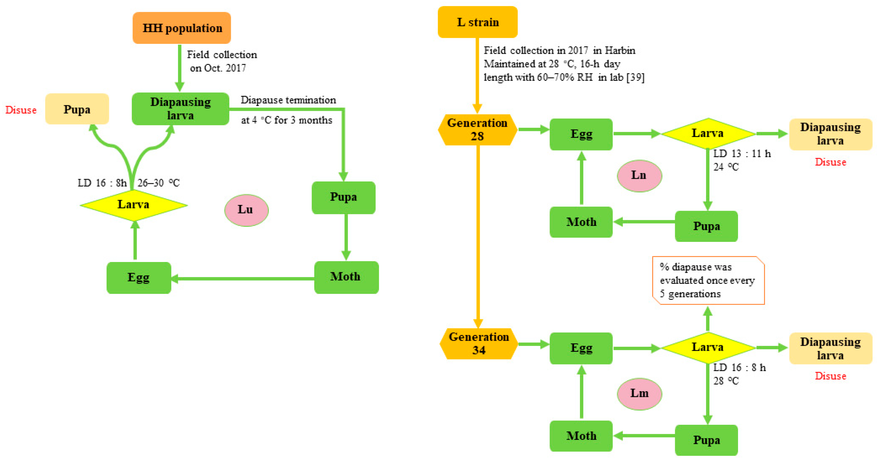 Biology 12 00187 g0a1 Biology 12 00187 g0a1