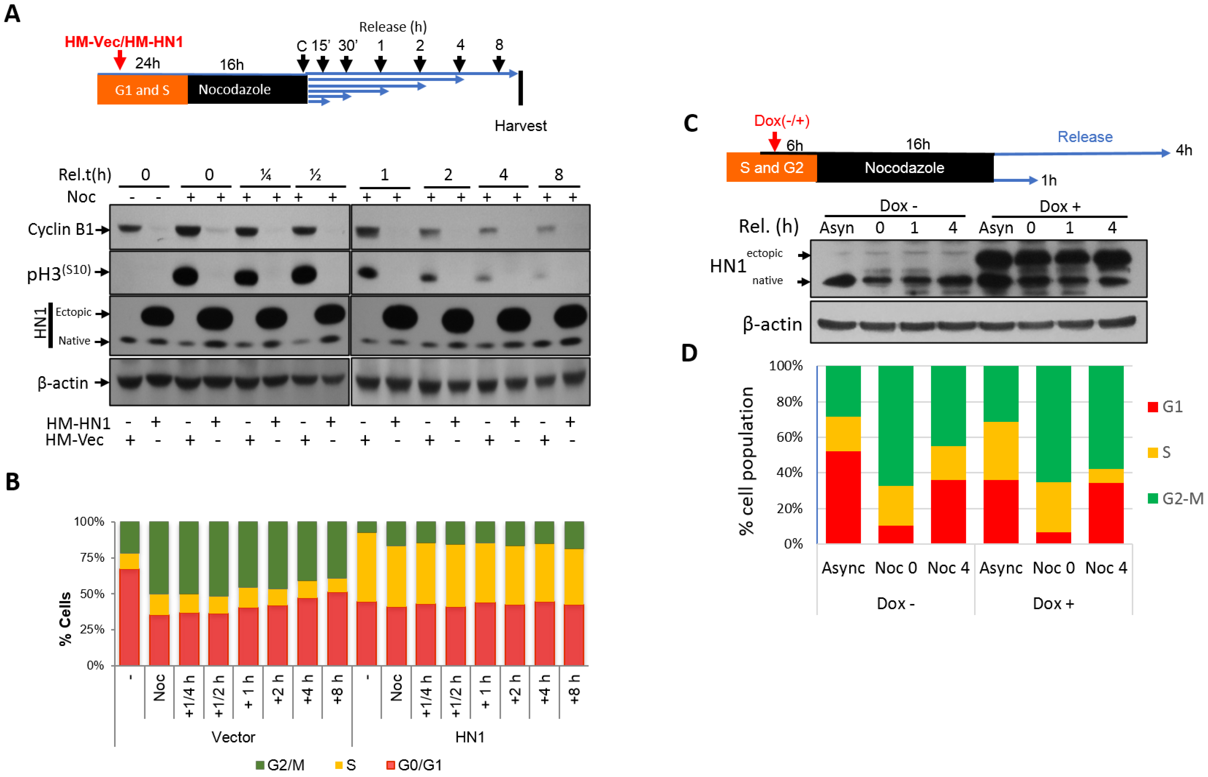 Biology 12 00189 g003 Biology 12 00189 g003