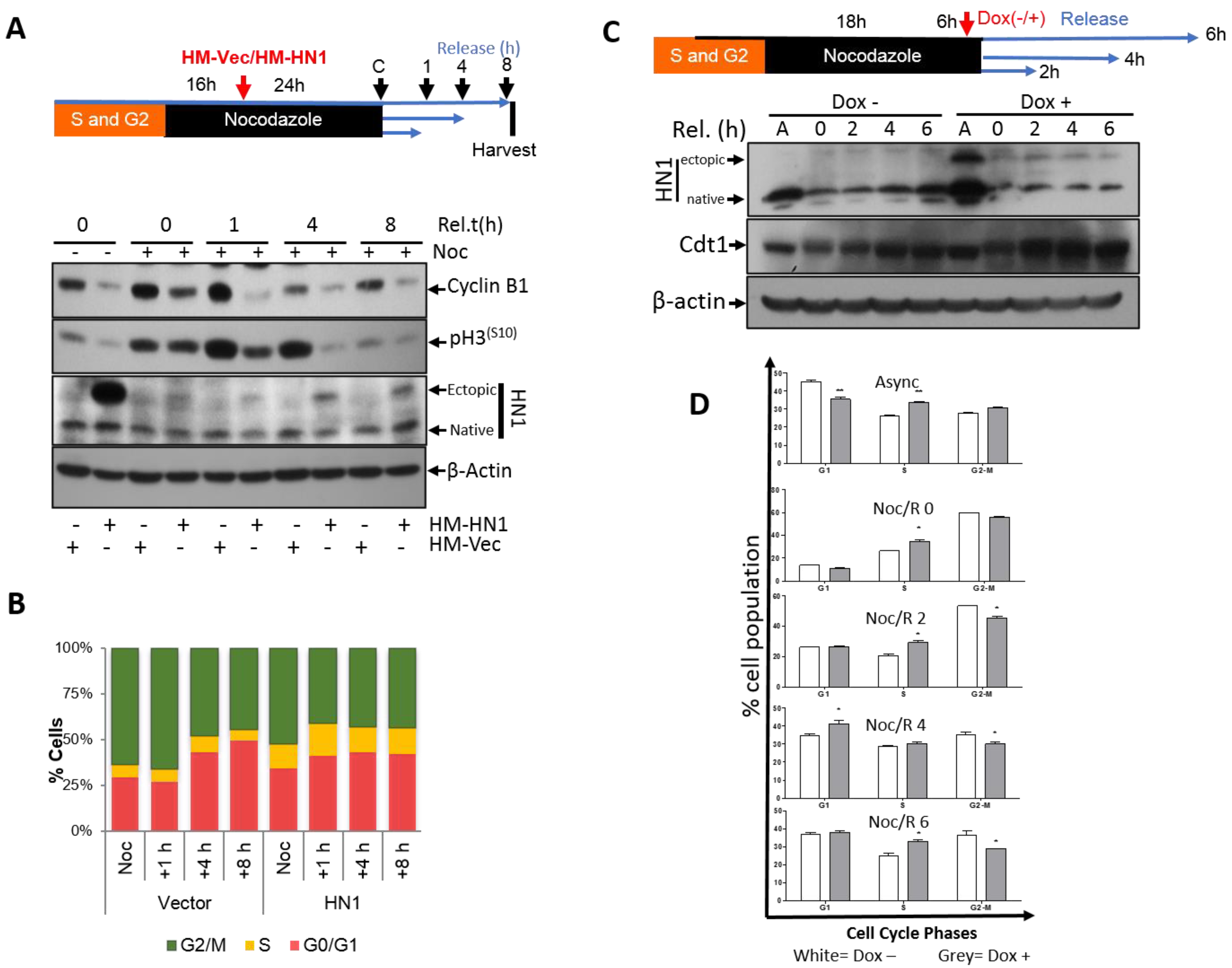 Biology 12 00189 g004 Biology 12 00189 g004