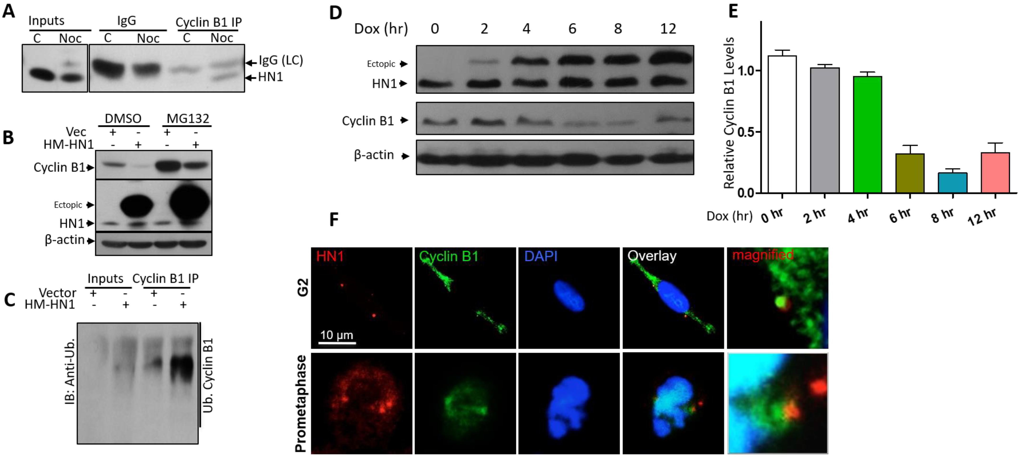 Biology 12 00189 g005 Biology 12 00189 g005