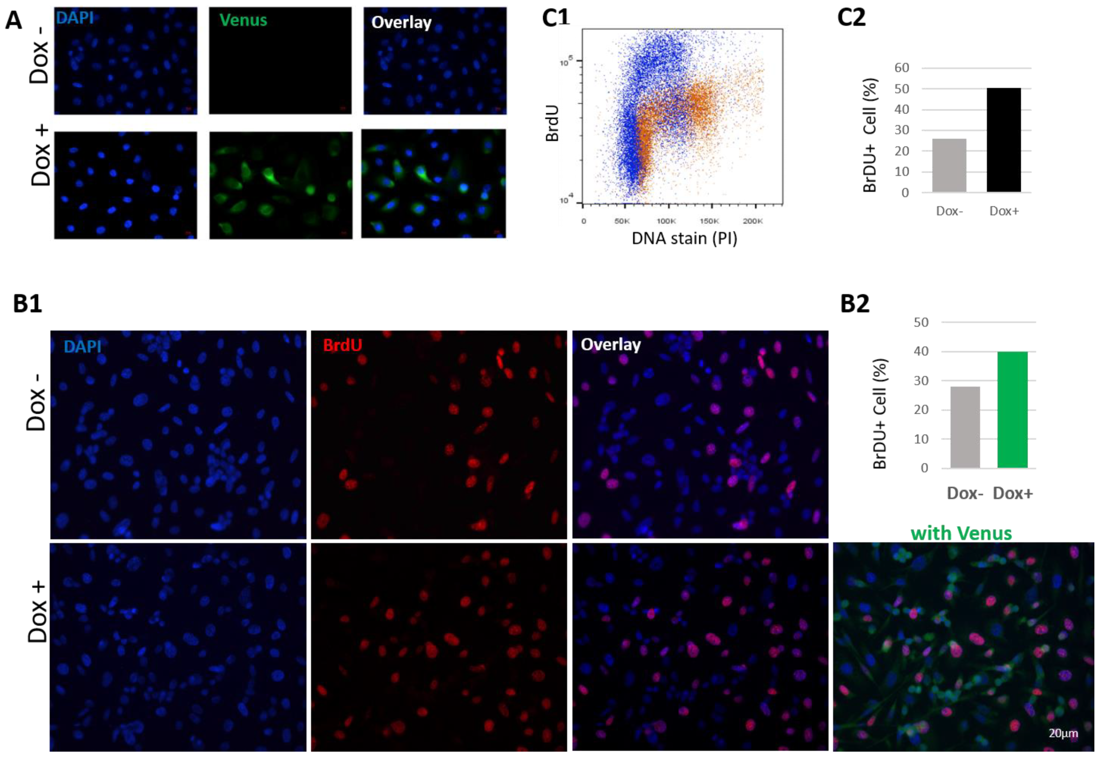Biology 12 00189 g008 Biology 12 00189 g008