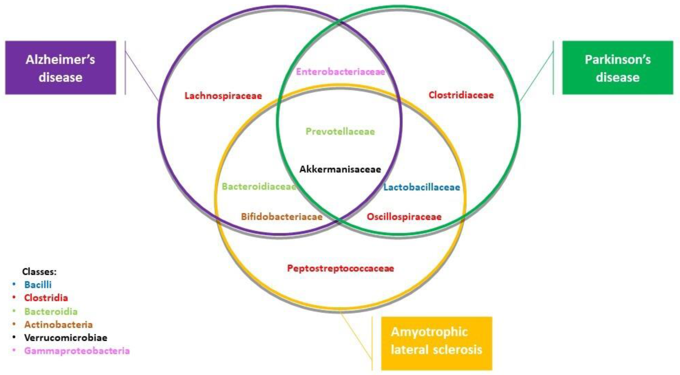 Biology 12 00195 g002