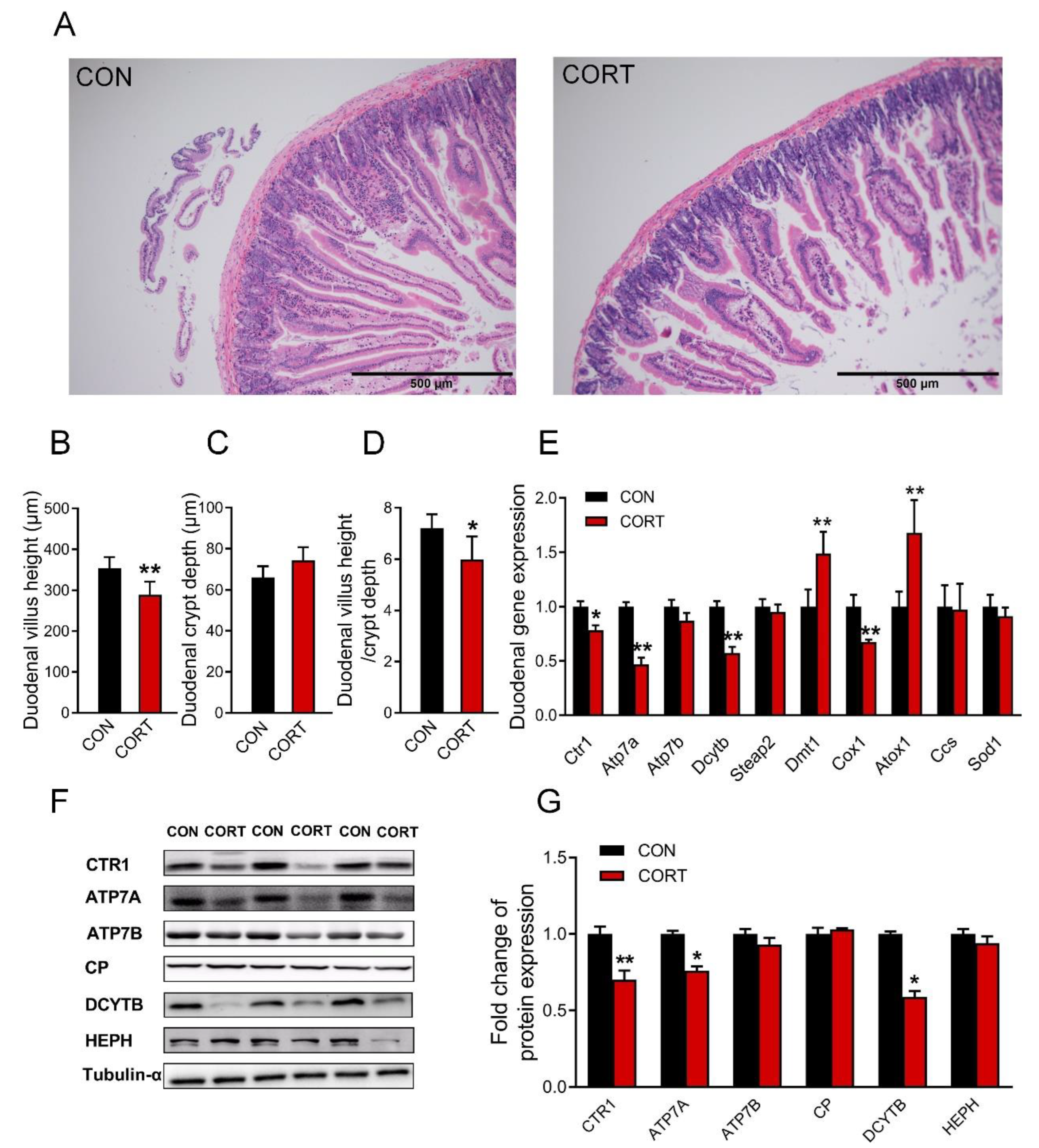 Biology 12 00197 g002 Biology 12 00197 g002