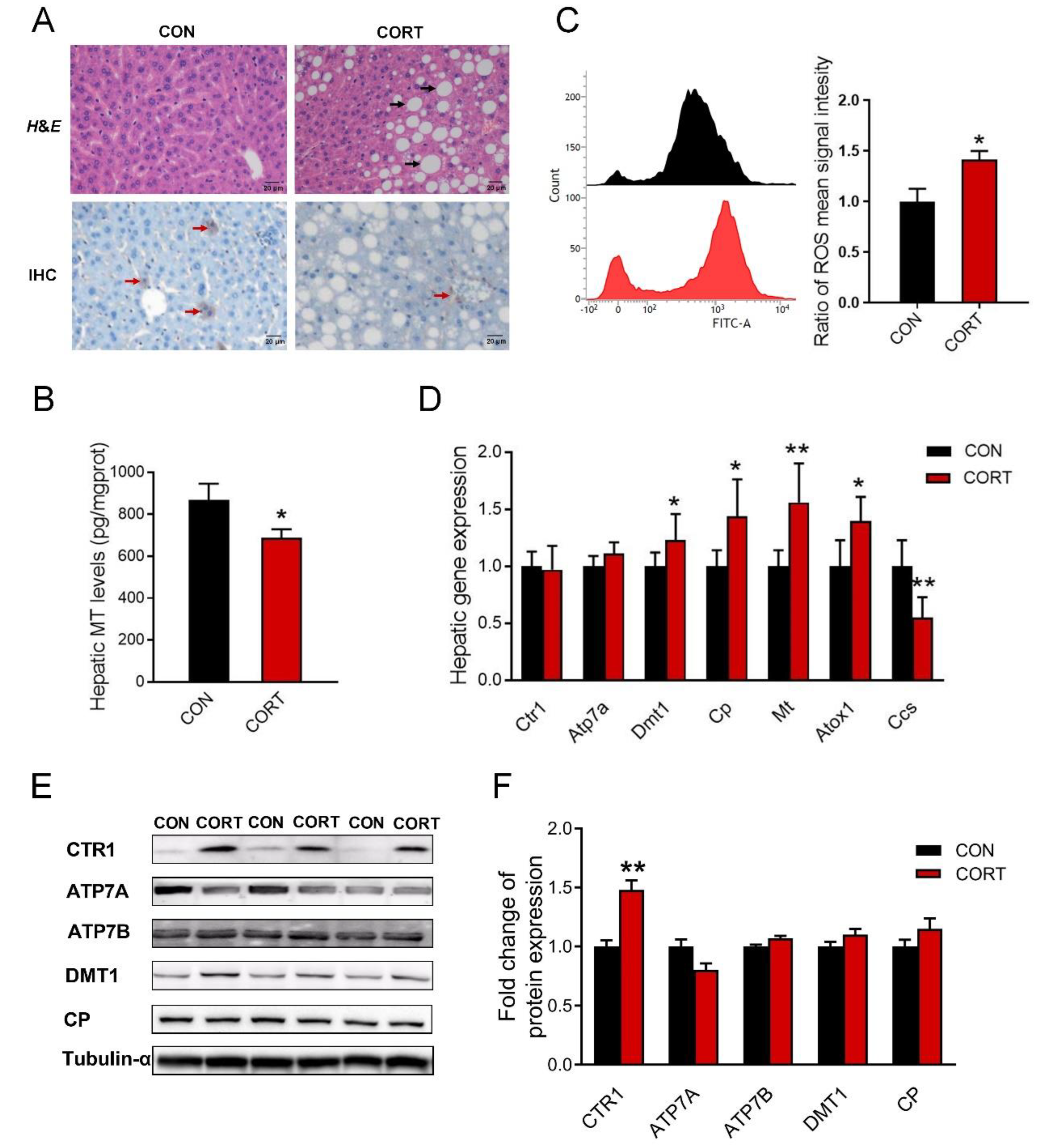 Biology 12 00197 g003 Biology 12 00197 g003