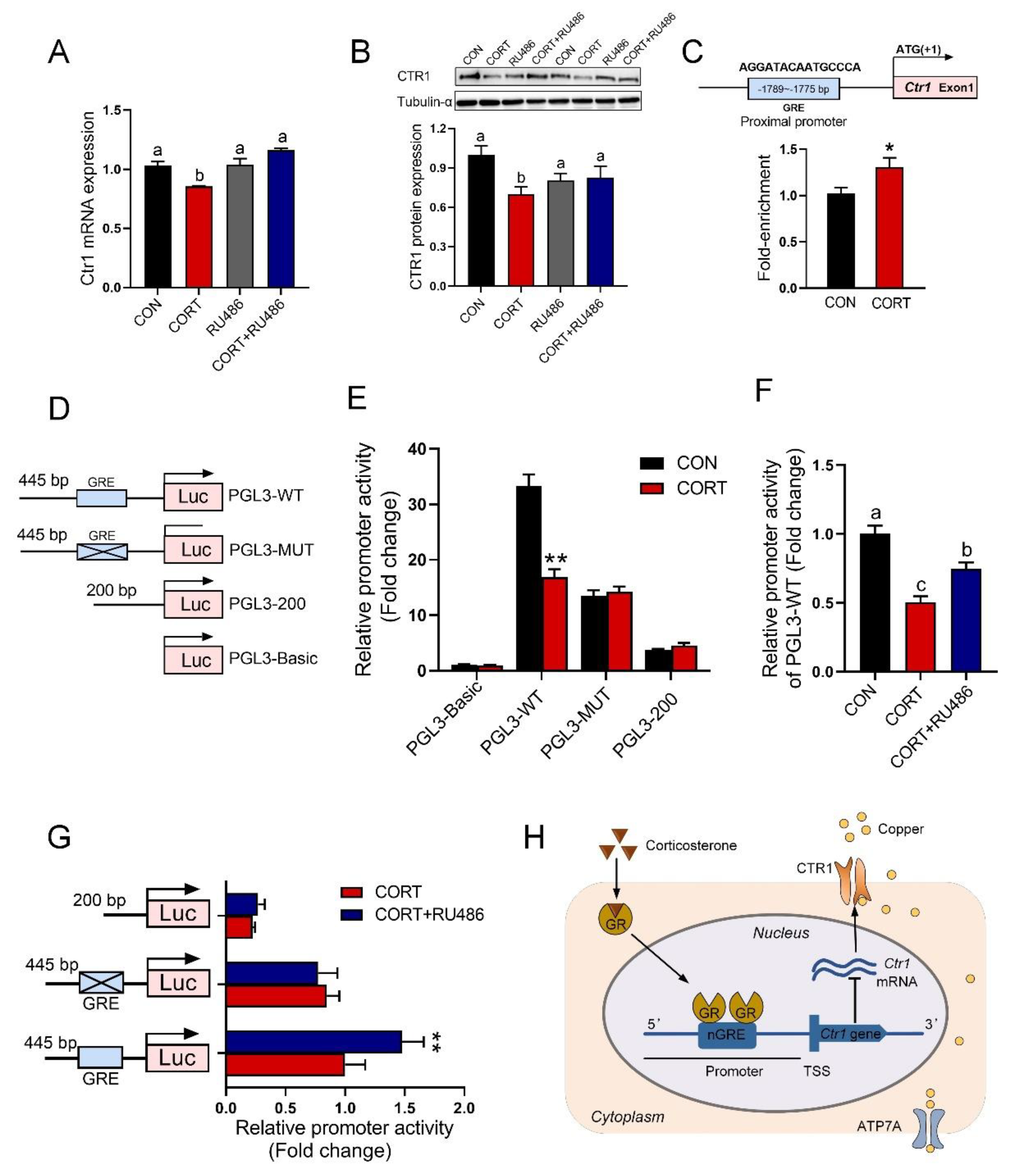Biology 12 00197 g006 Biology 12 00197 g006