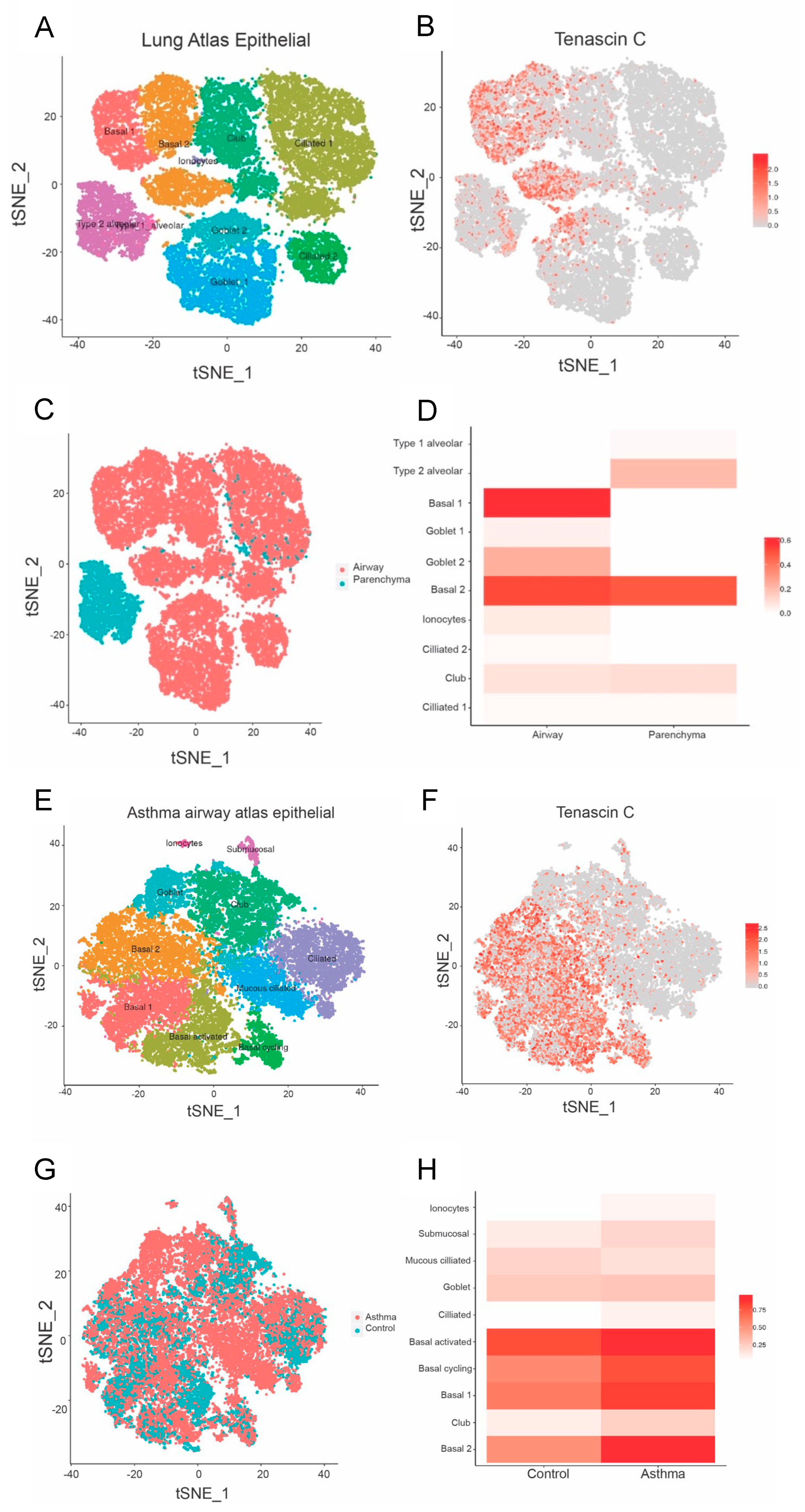 Biology 12 00199 g003 Biology 12 00199 g003