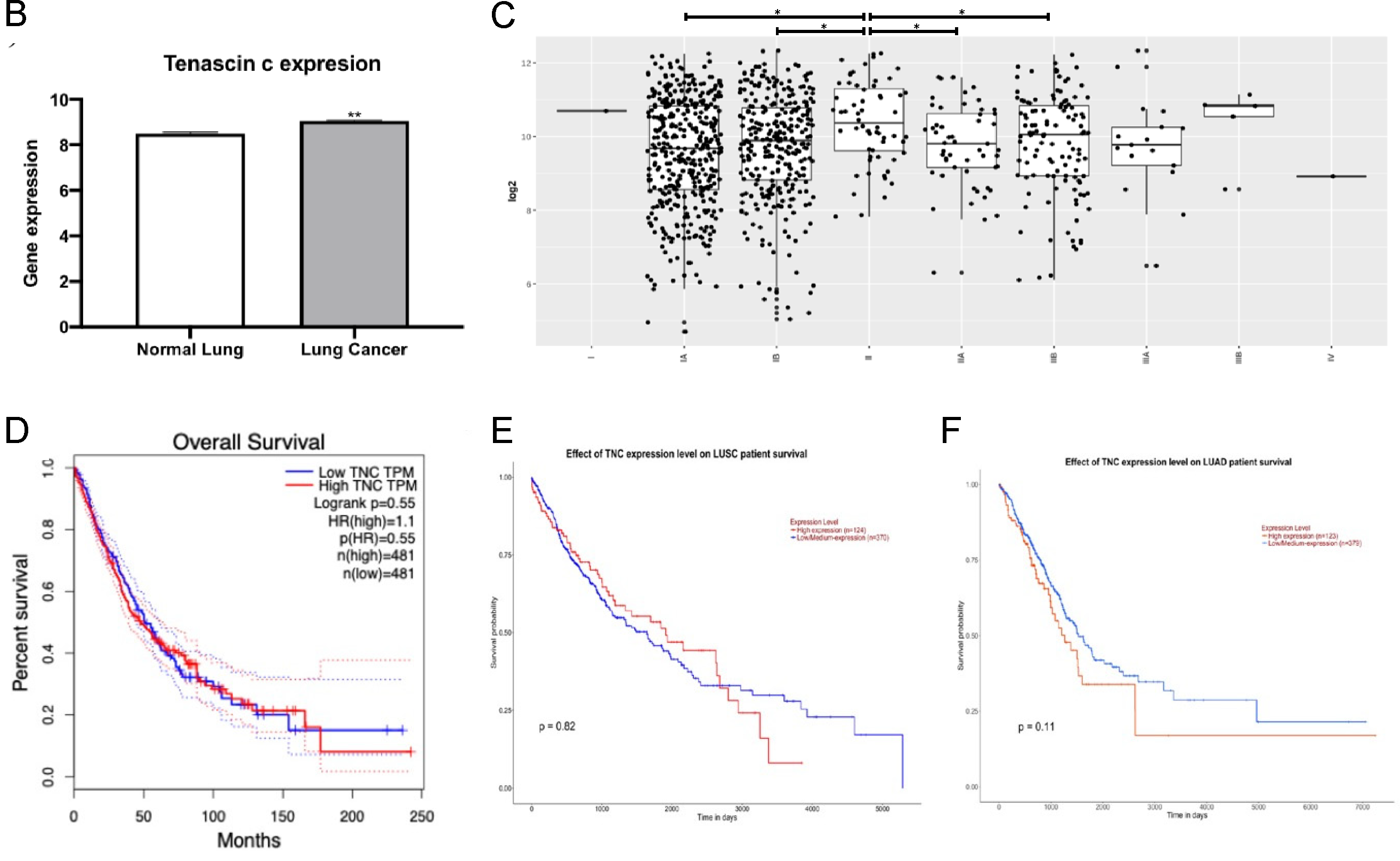 Biology 12 00199 g006b Biology 12 00199 g006b