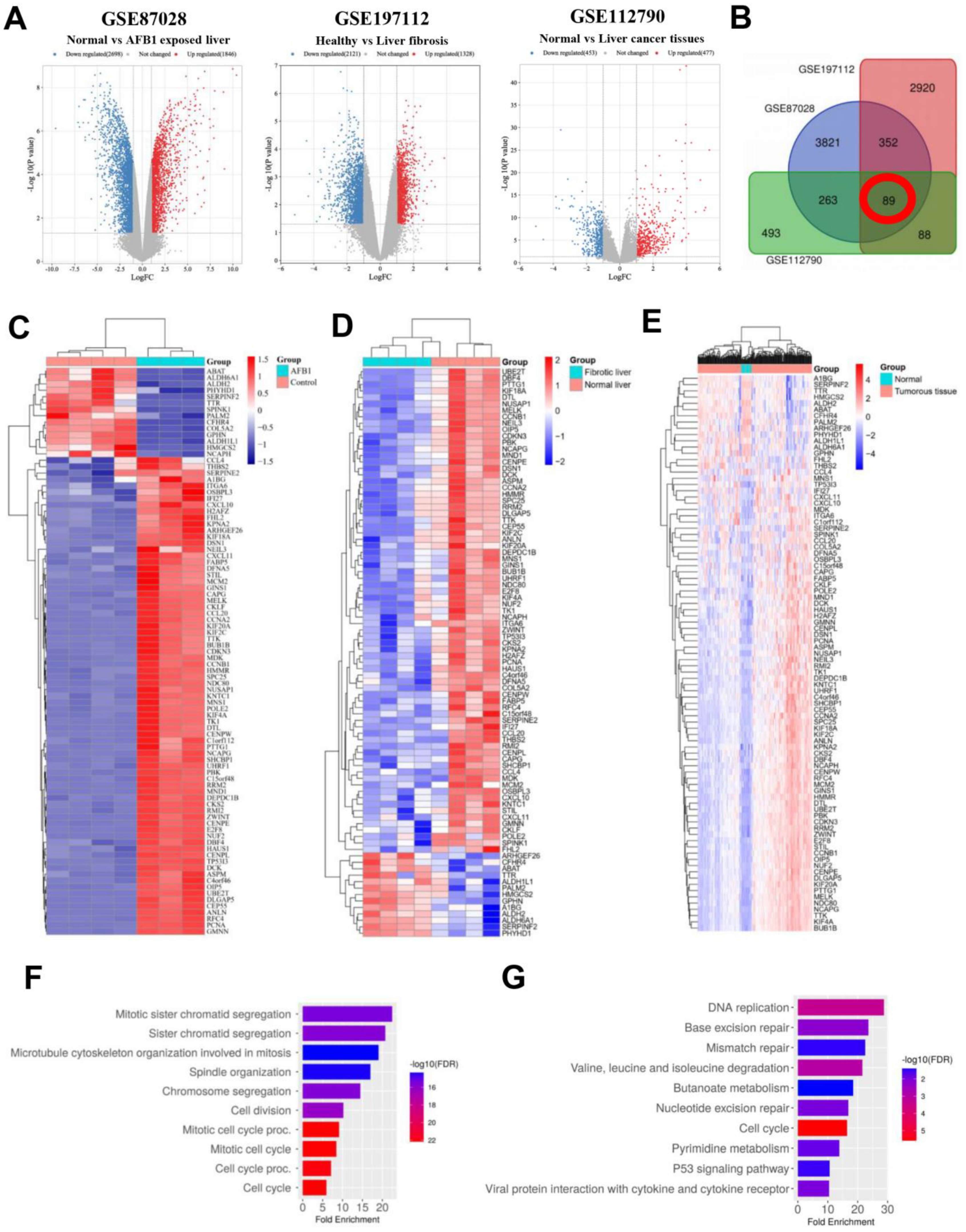 Biology 12 00205 g001