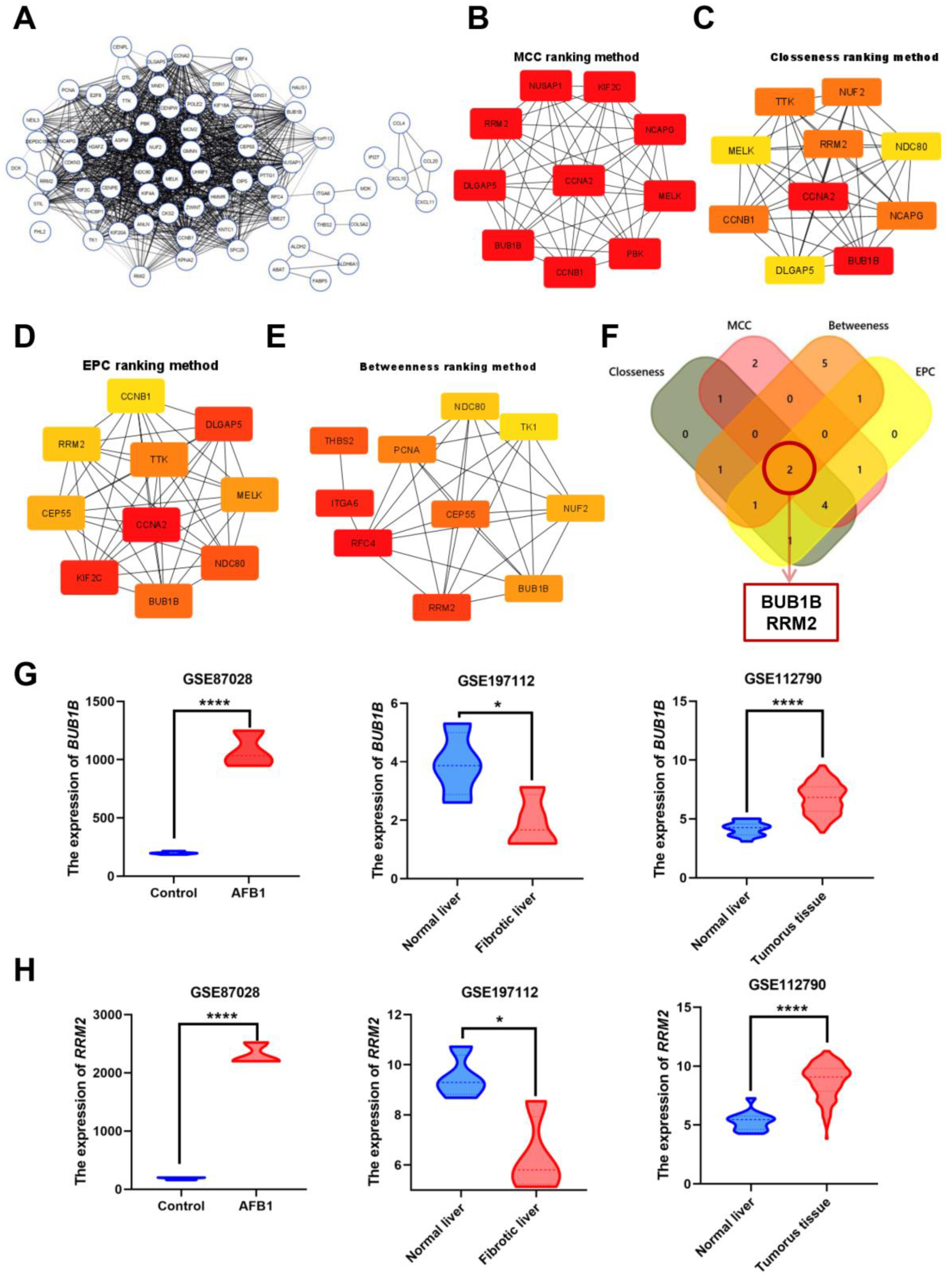 Biology 12 00205 g002