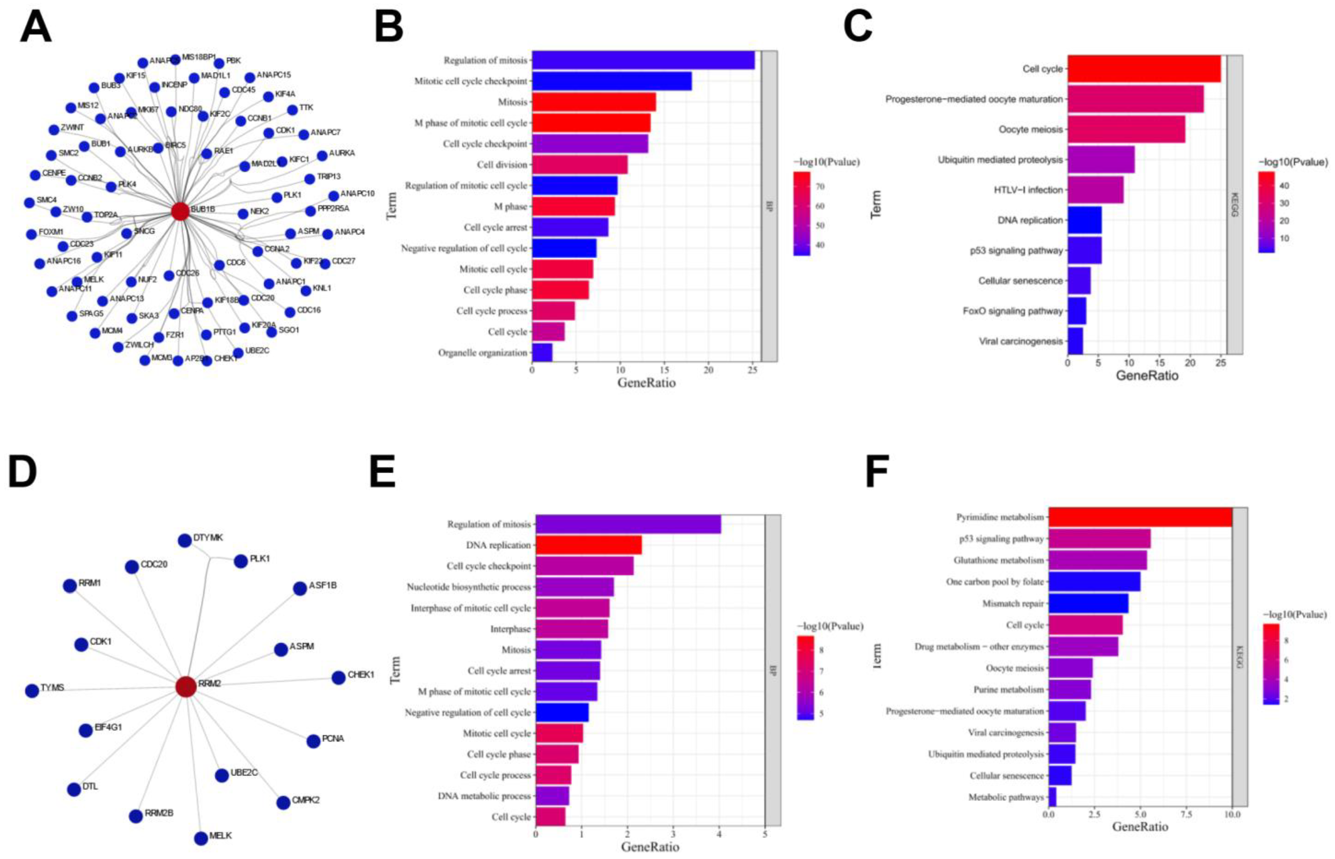 Biology 12 00205 g003