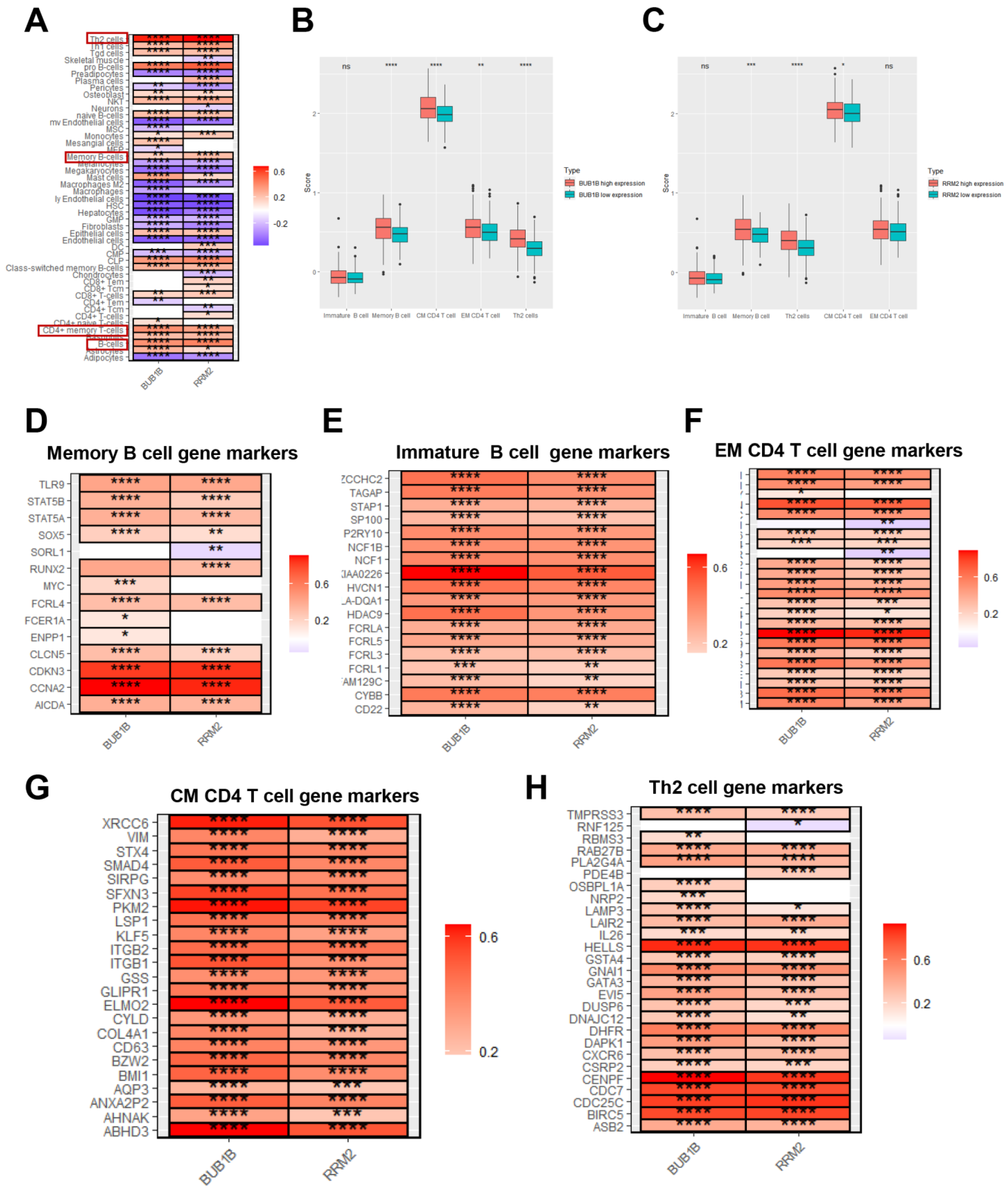 Biology 12 00205 g004