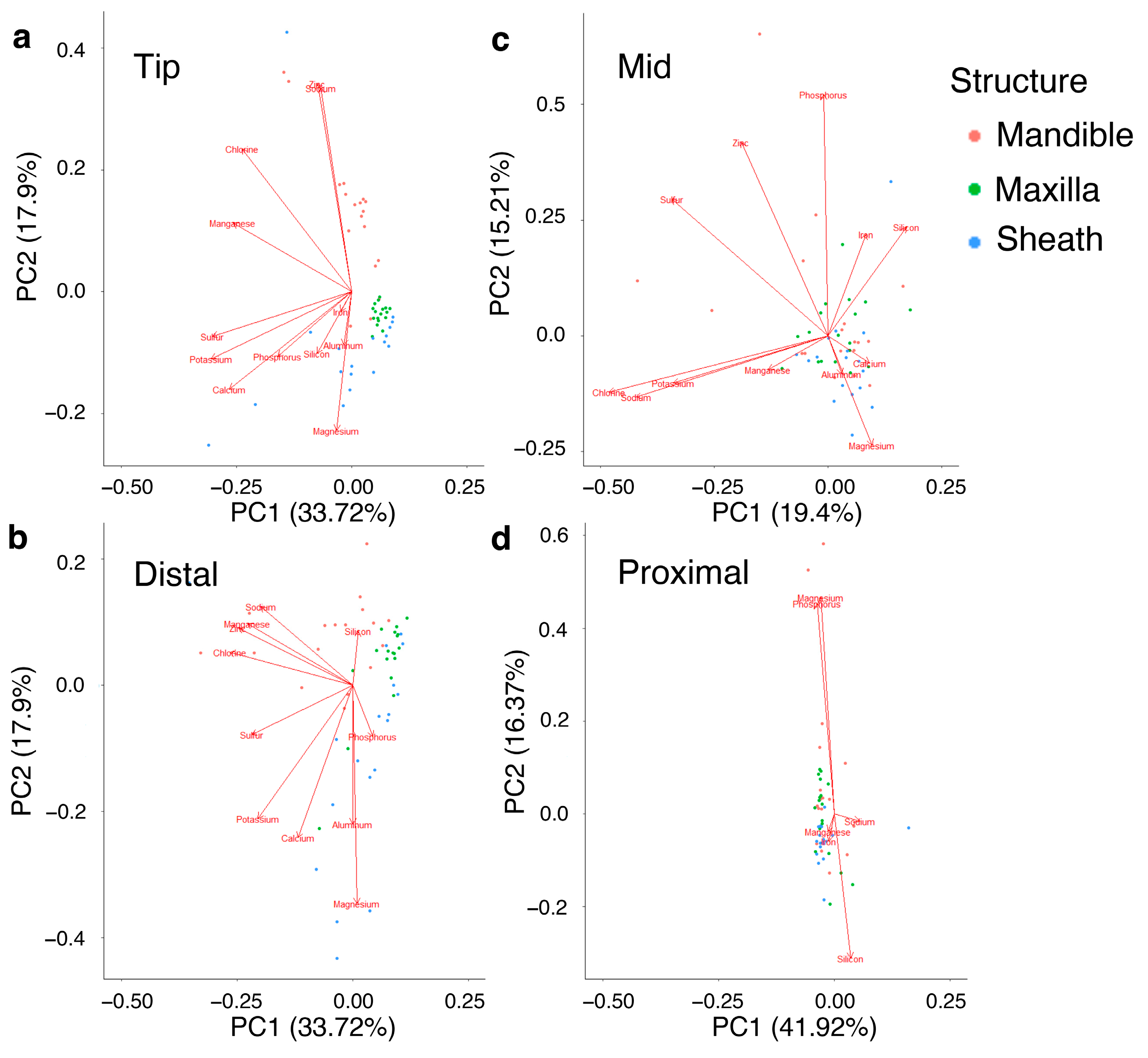 Biology 12 00207 g006 Biology 12 00207 g006