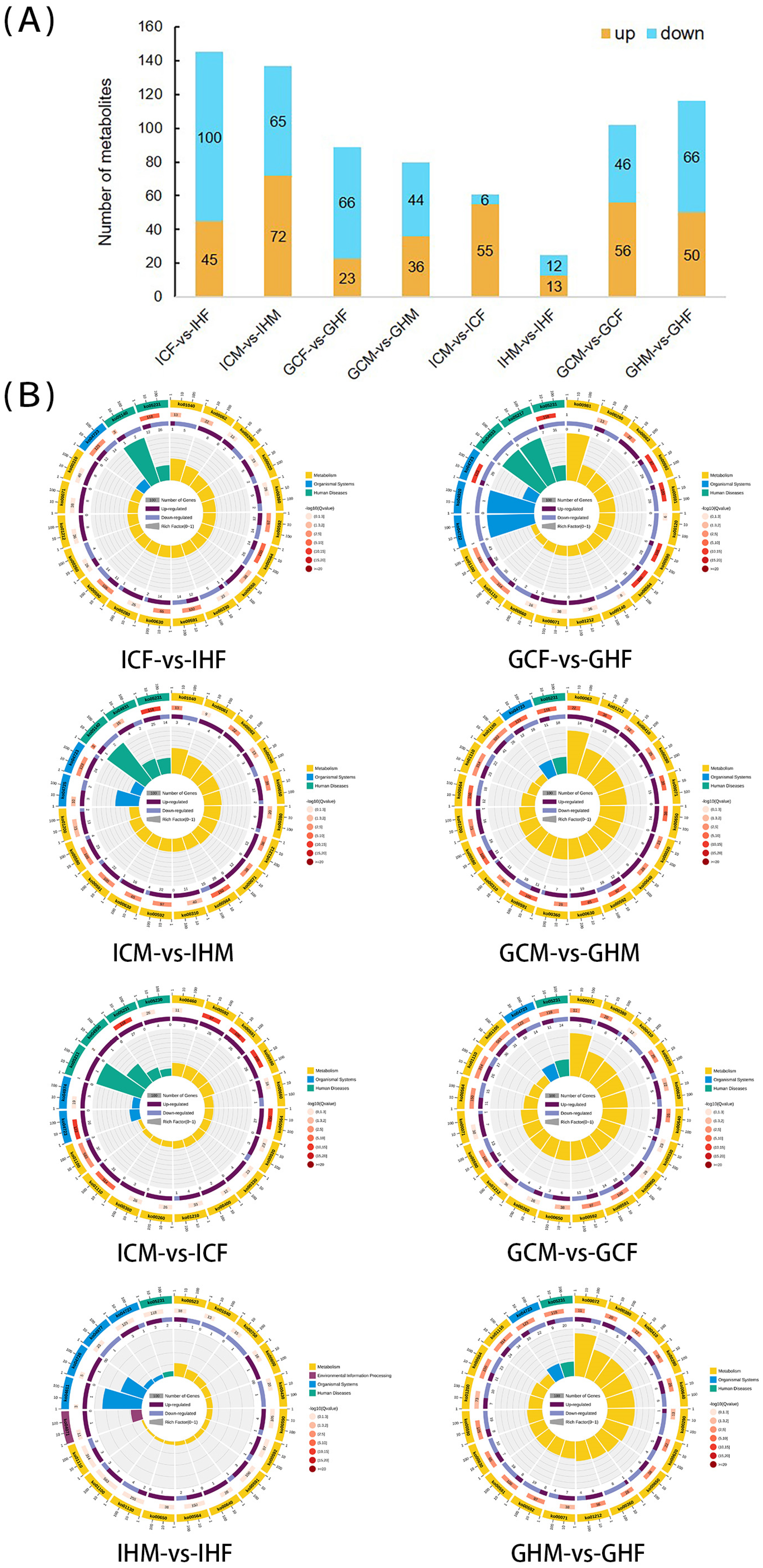 Biology 12 00212 g003 Biology 12 00212 g003