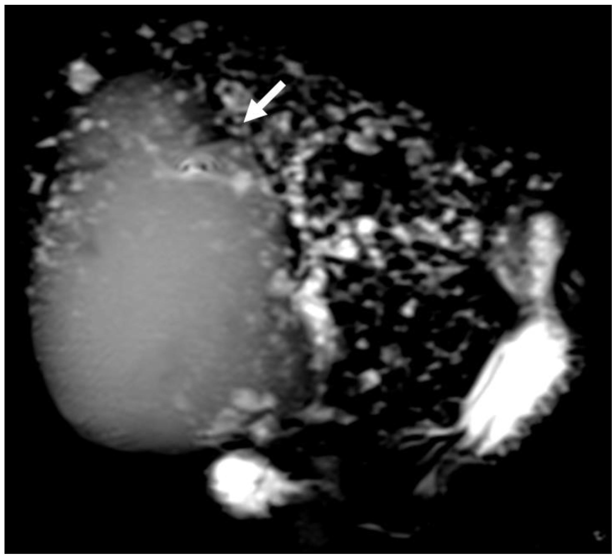 Biology 12 00213 g004