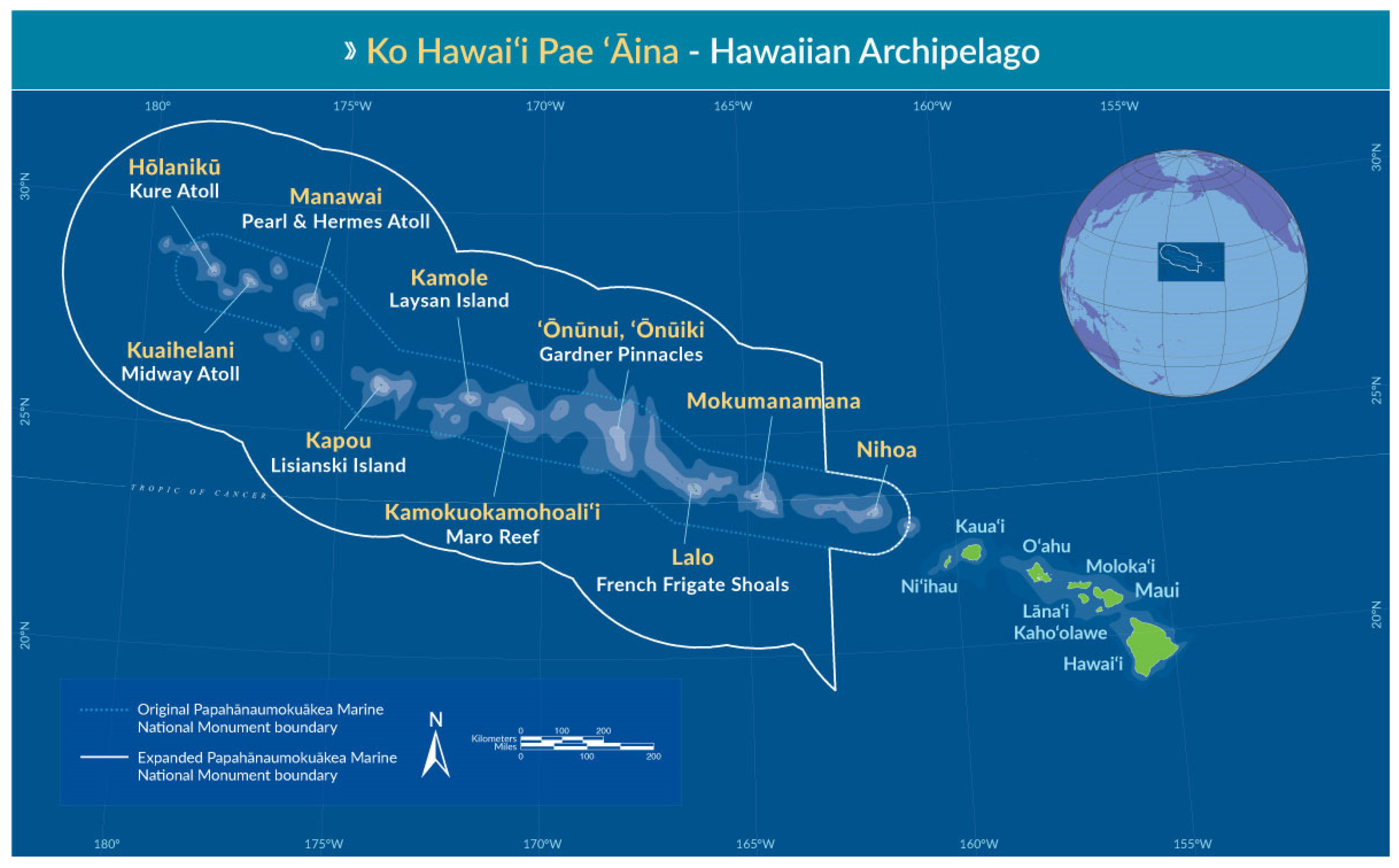 Biology 12 00215 g001 Biology 12 00215 g001