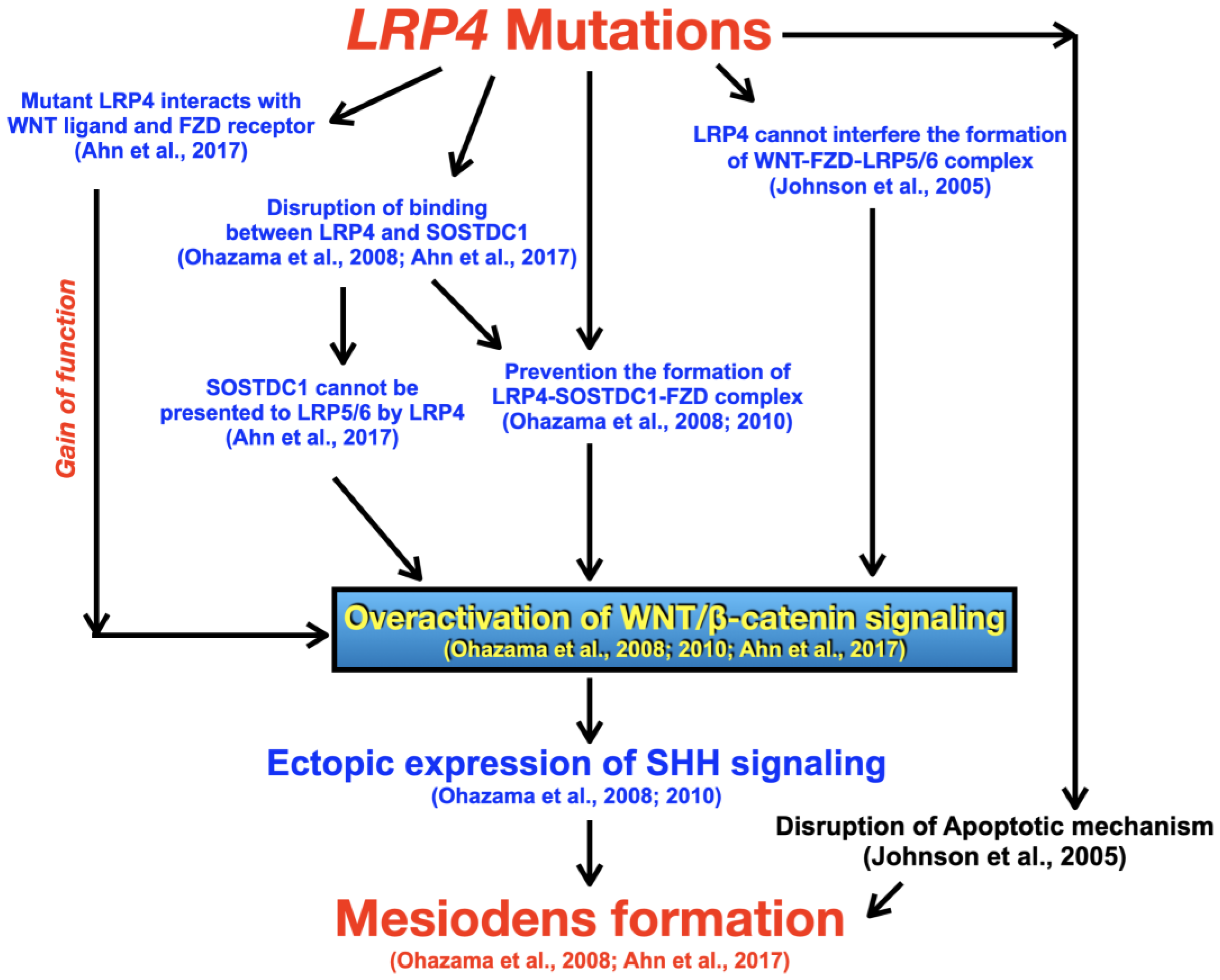 Biology 12 00220 g007
