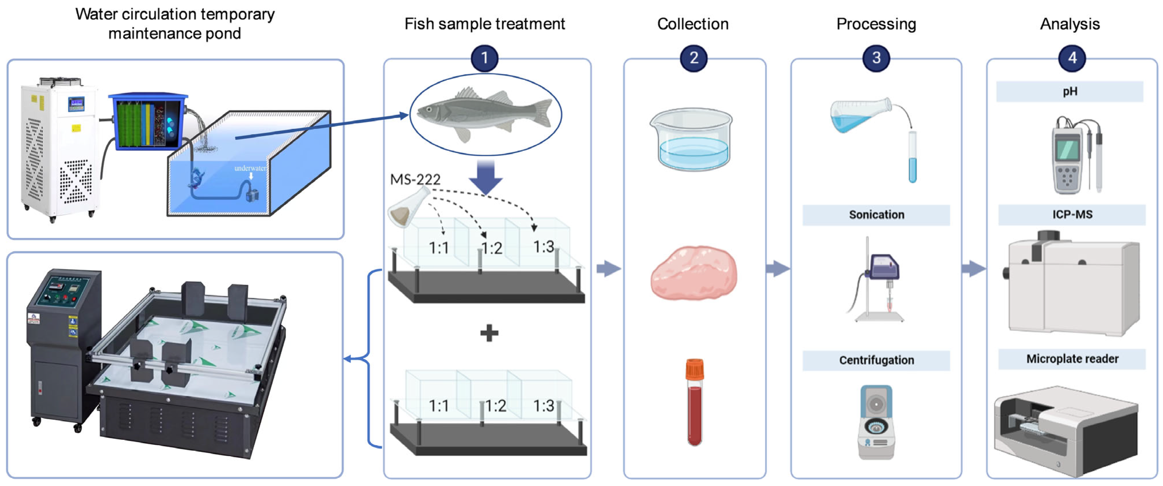 Biology 12 00223 g001 Biology 12 00223 g001