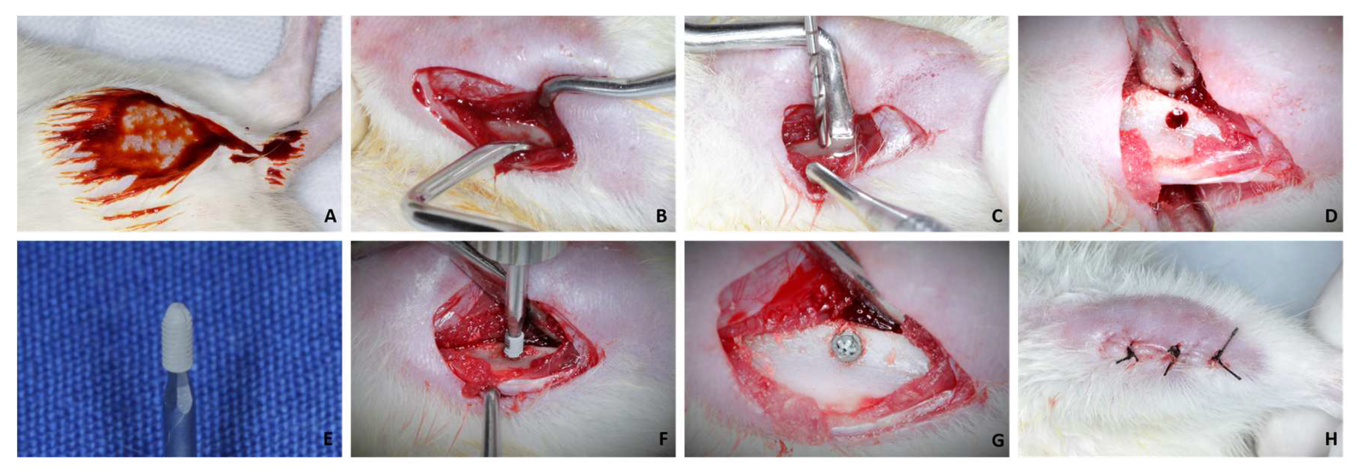 Biology 12 00228 g001
