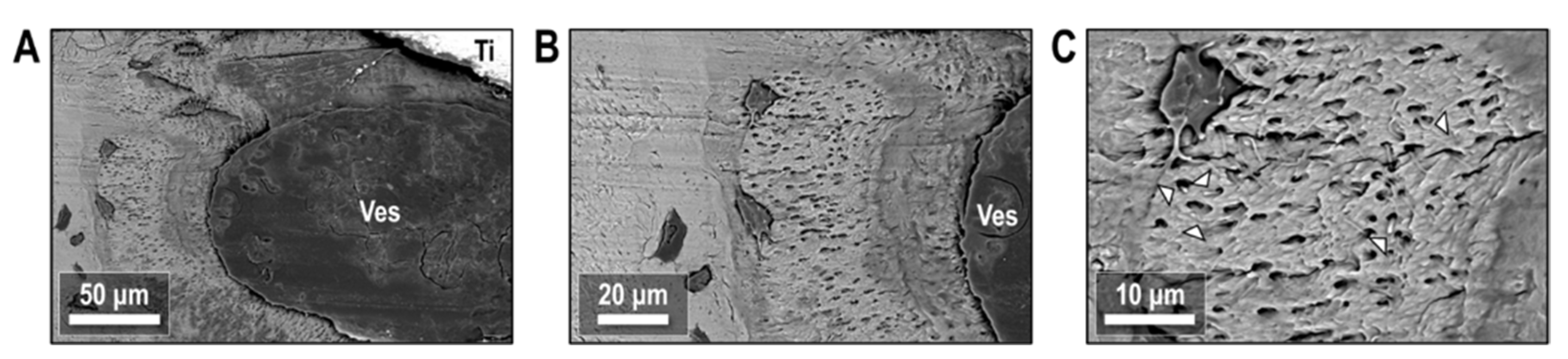 Biology 12 00228 g012