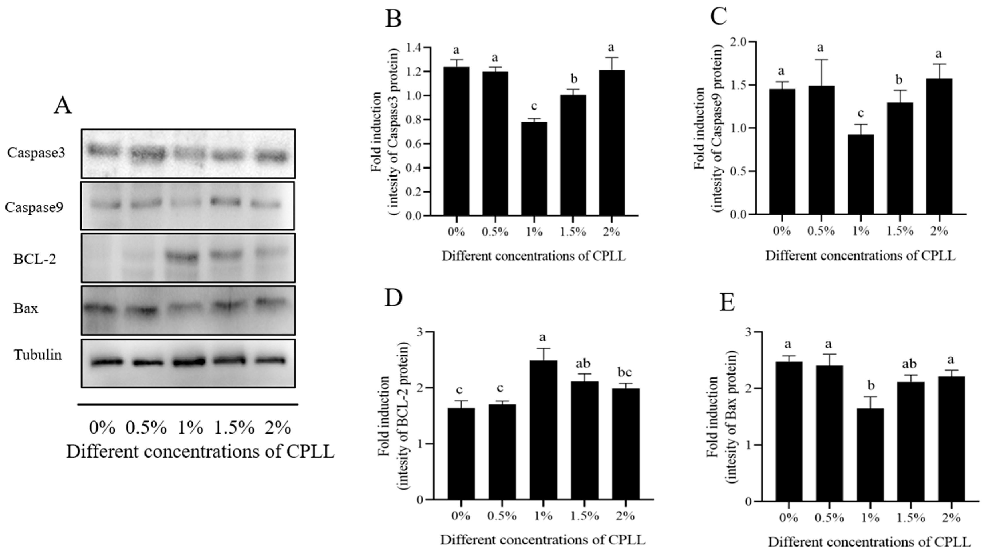 Biology 12 00231 g005 Biology 12 00231 g005