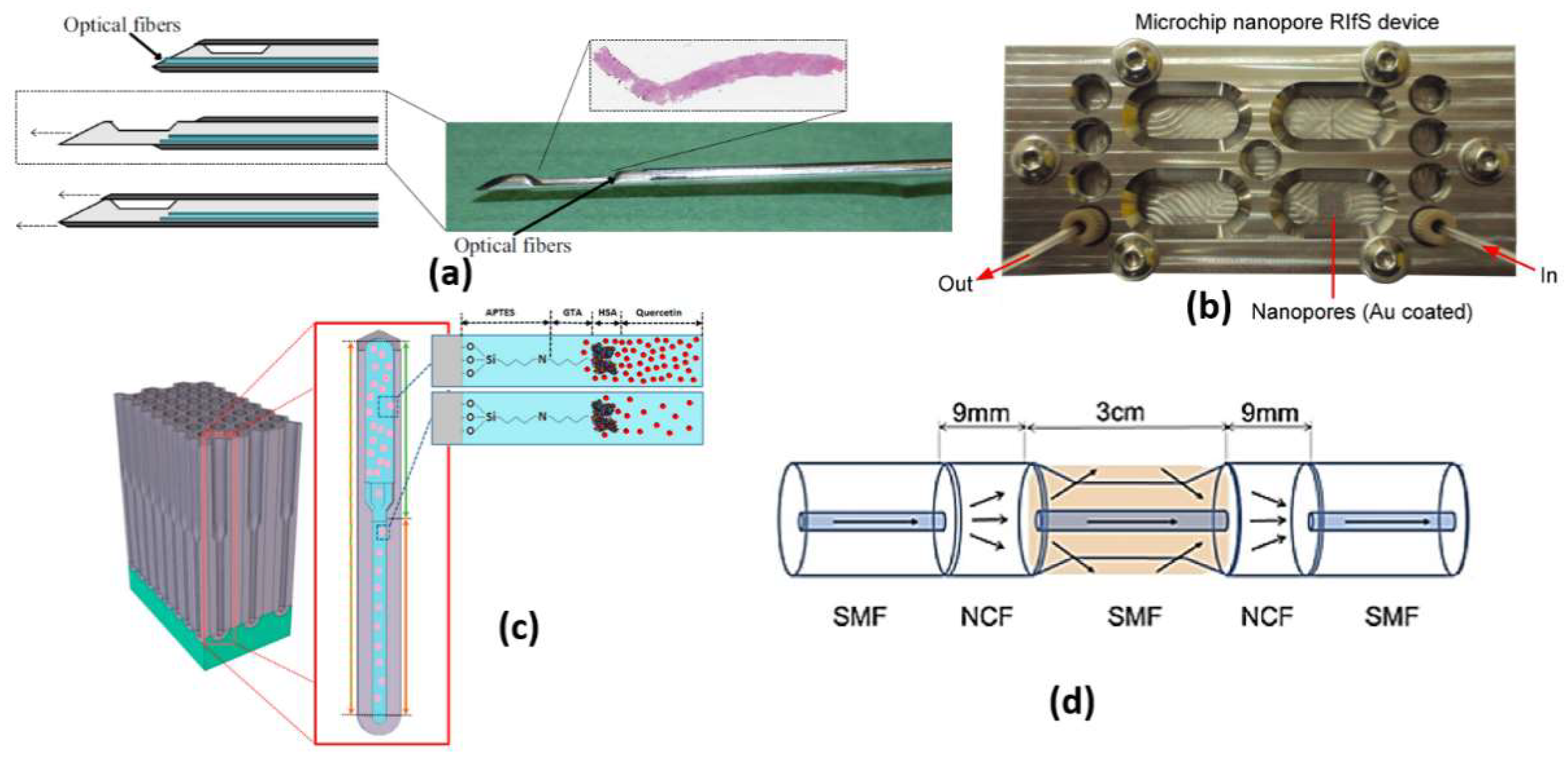 Biology 12 00232 g006 Biology 12 00232 g006