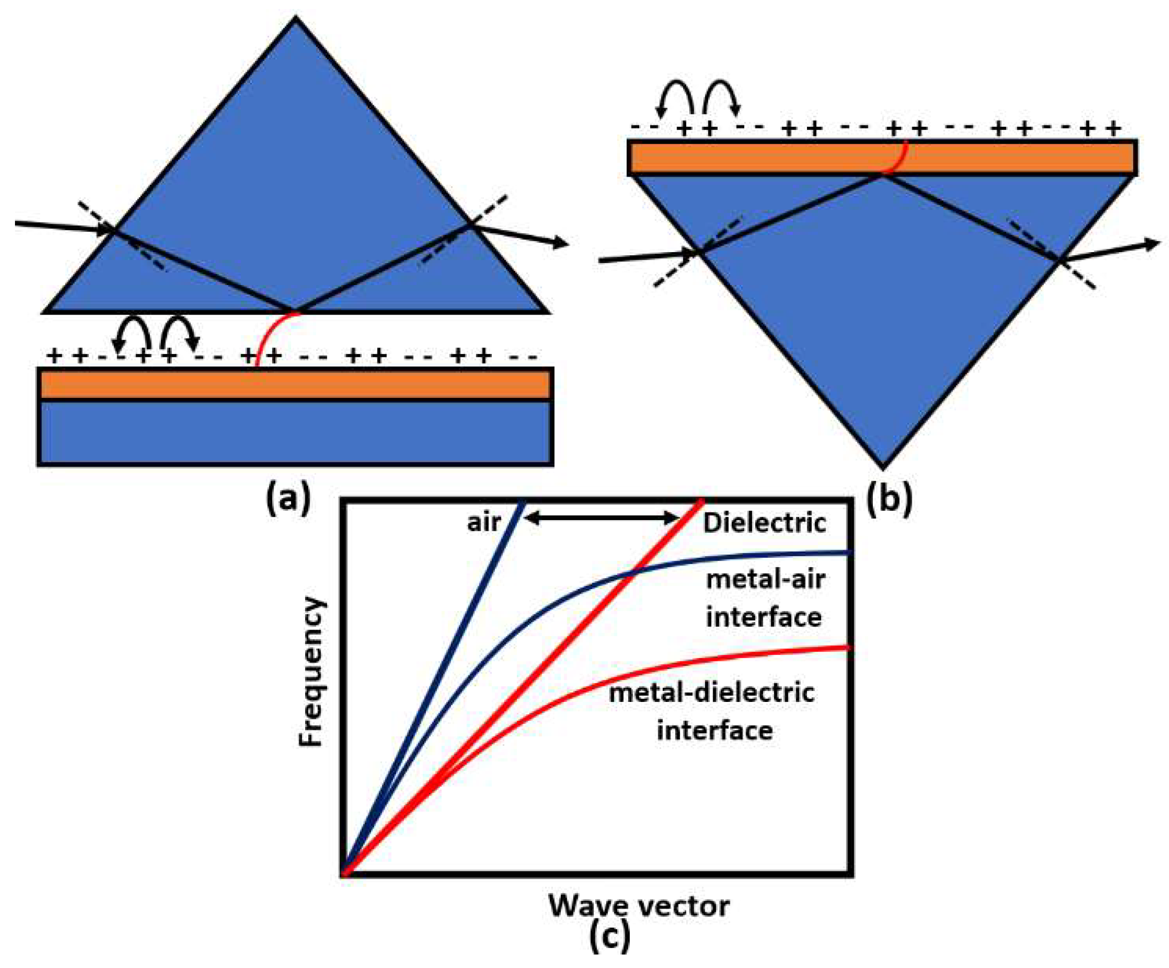 Biology 12 00232 g008 Biology 12 00232 g008