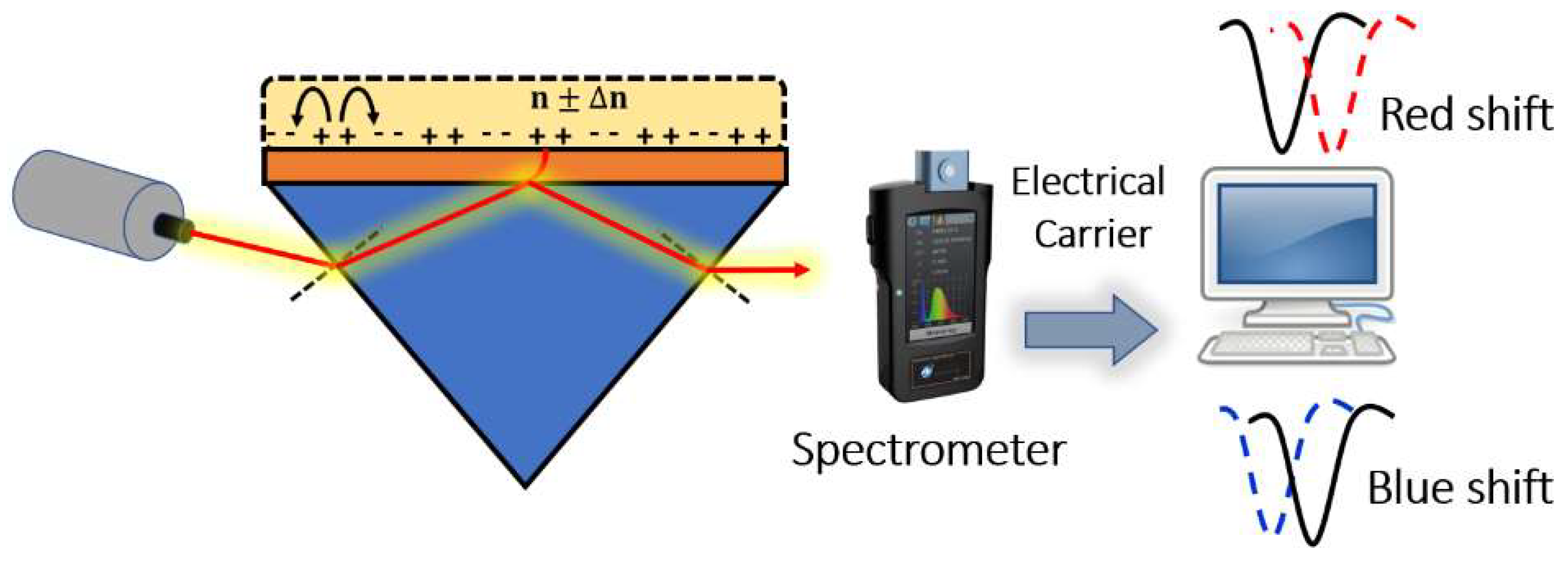 Biology 12 00232 g009 Biology 12 00232 g009