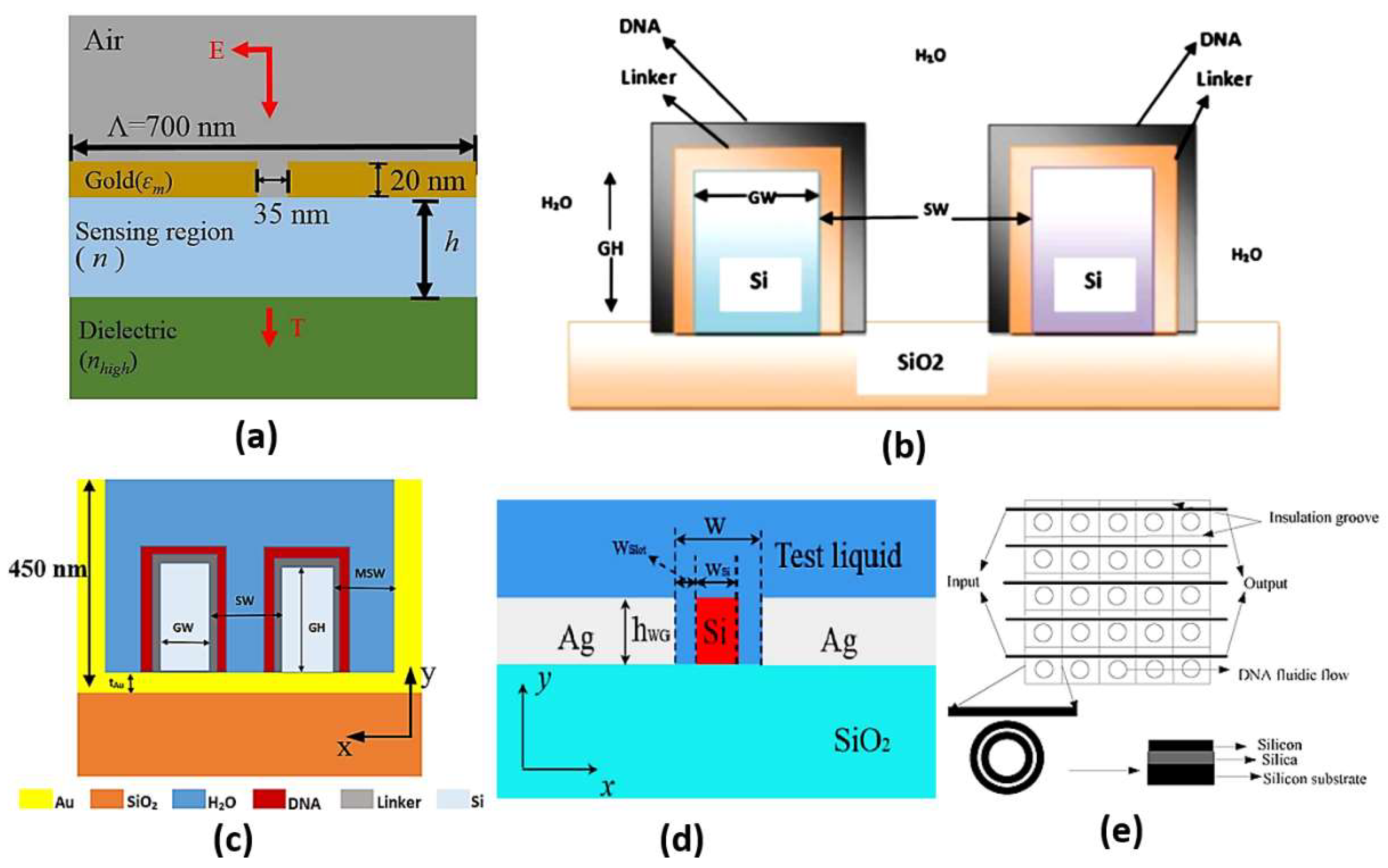 Biology 12 00232 g011 Biology 12 00232 g011