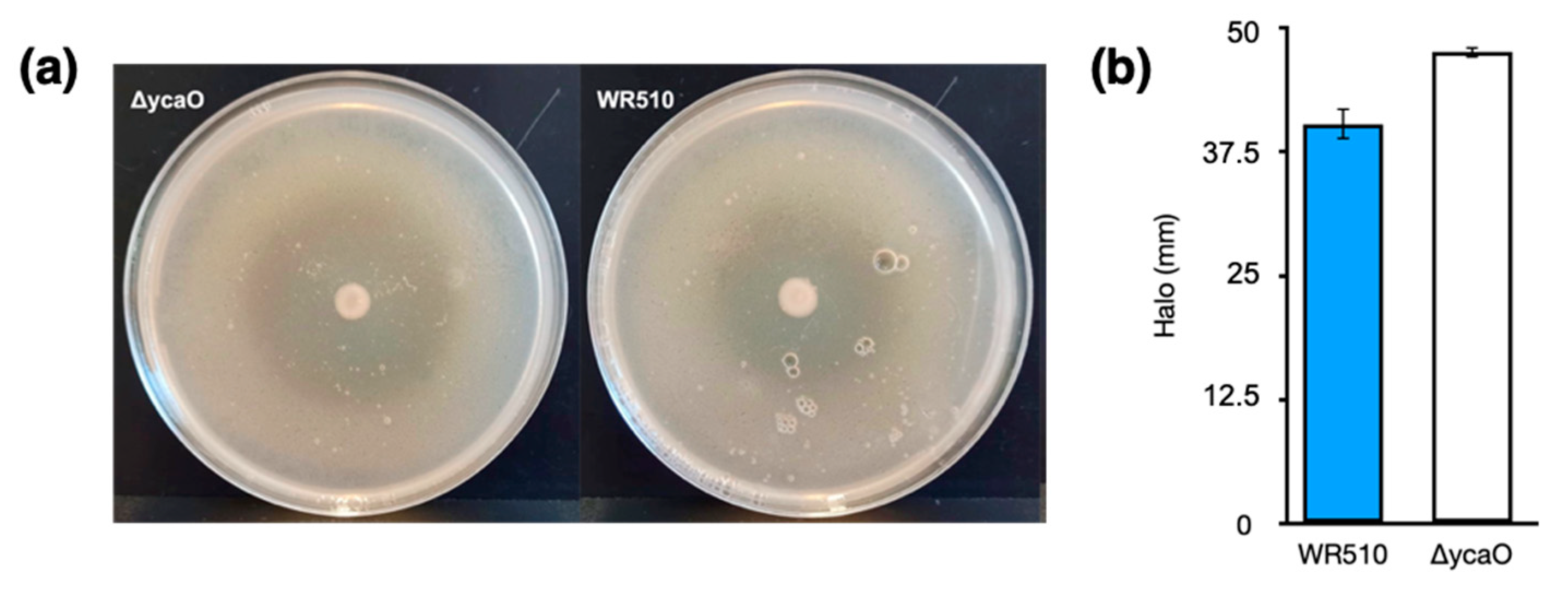 Biology 12 00236 g004 Biology 12 00236 g004