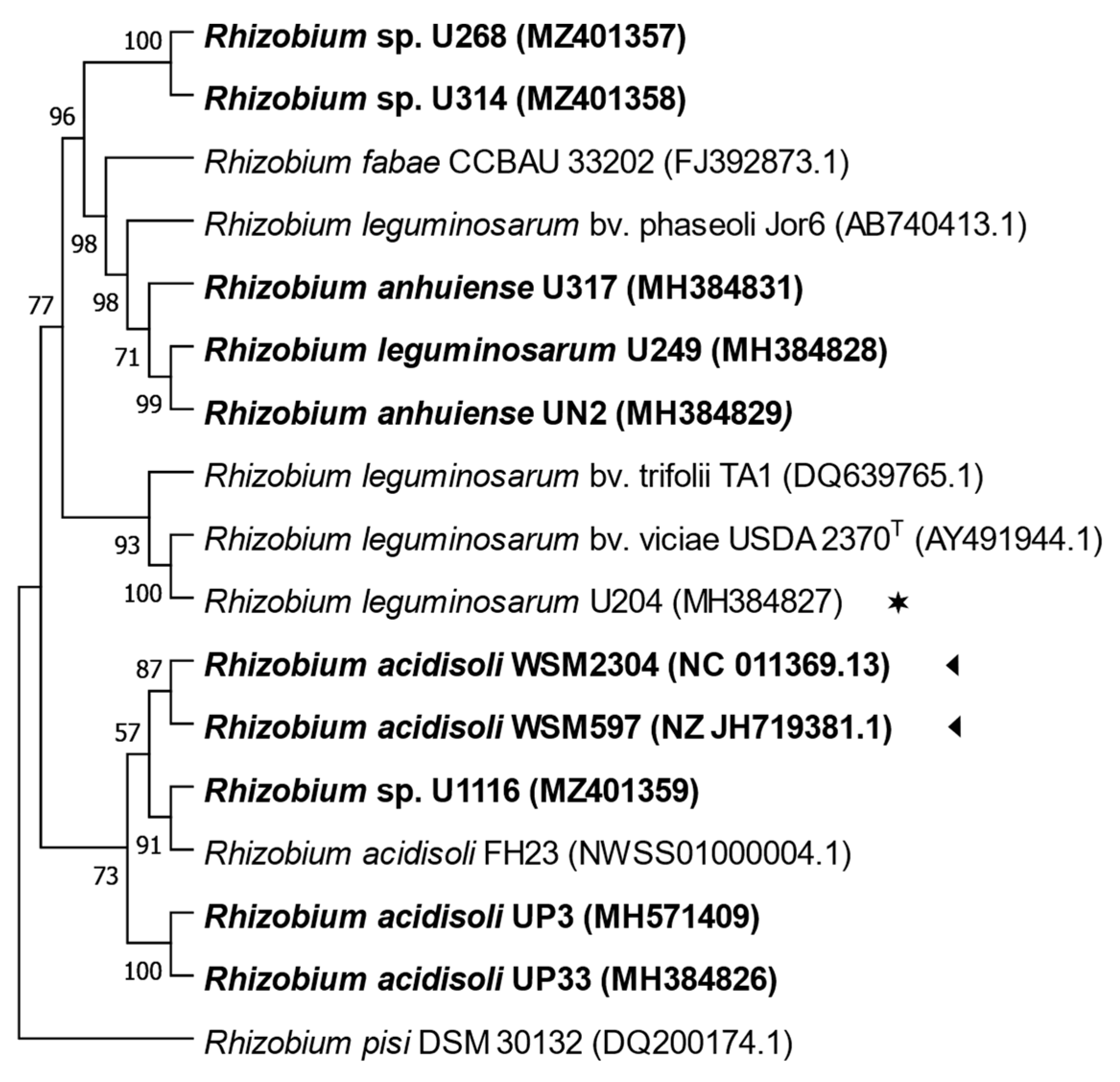 Biology 12 00243 g002 Biology 12 00243 g002