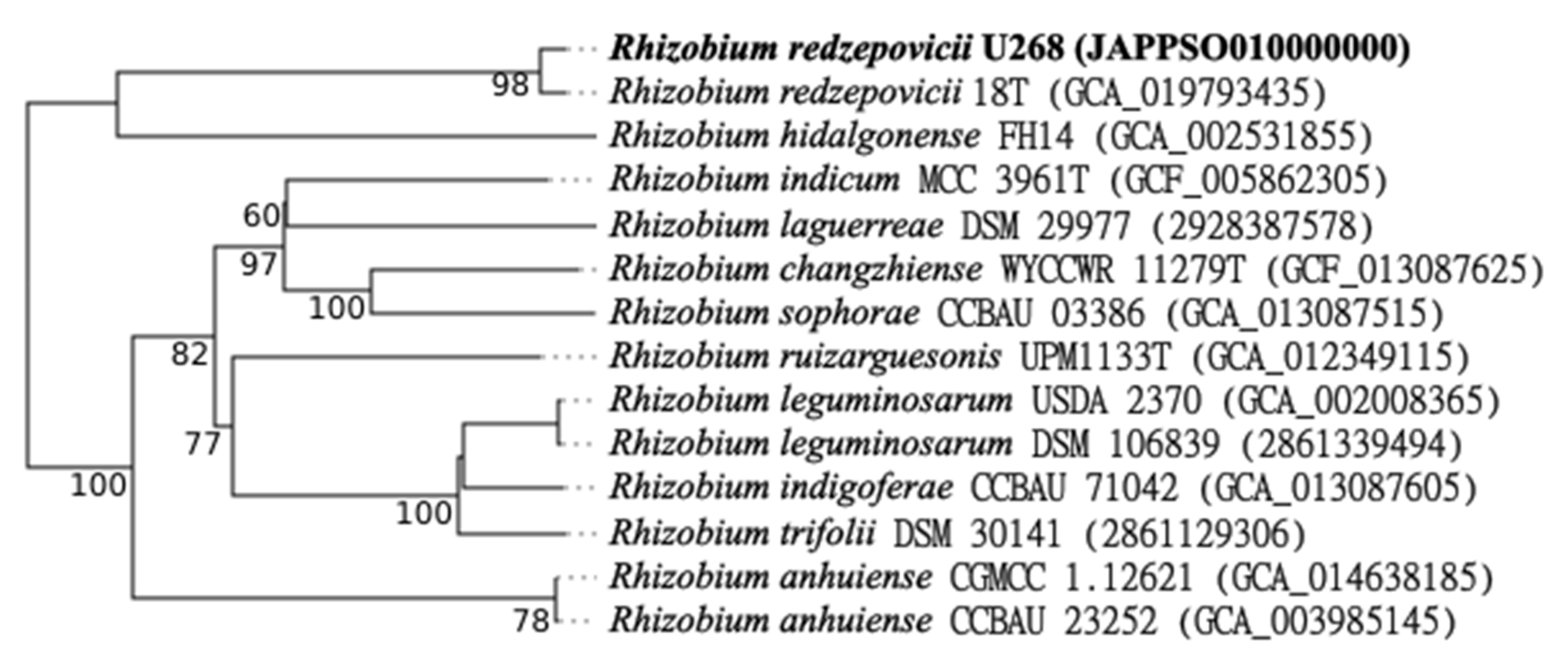 Biology 12 00243 g005 Biology 12 00243 g005