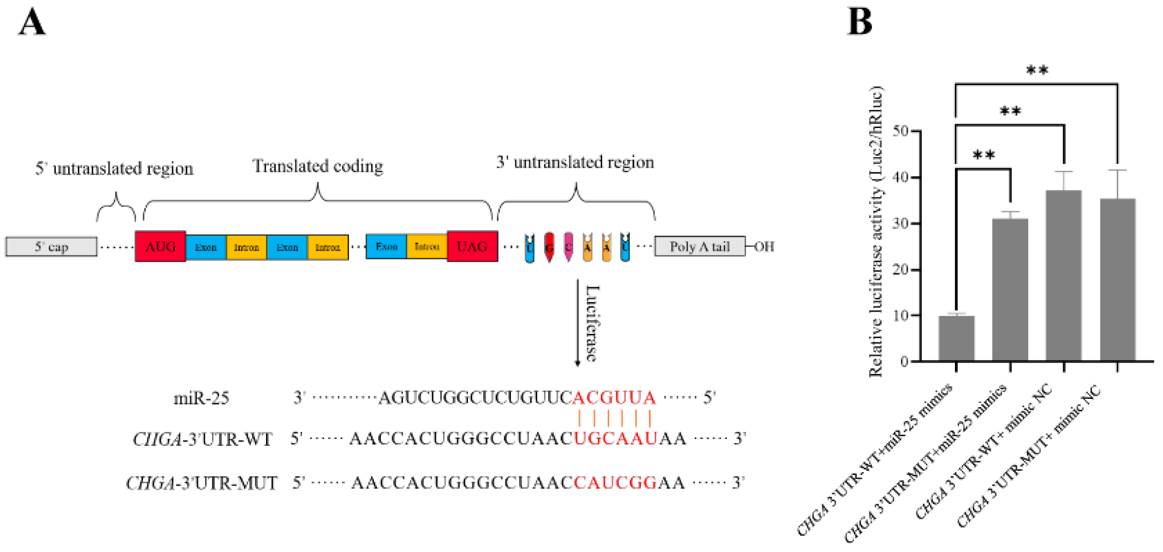 Biology 12 00250 g002 550